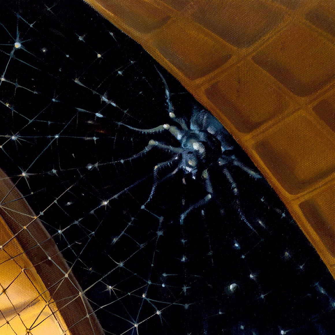 WEBMASTER