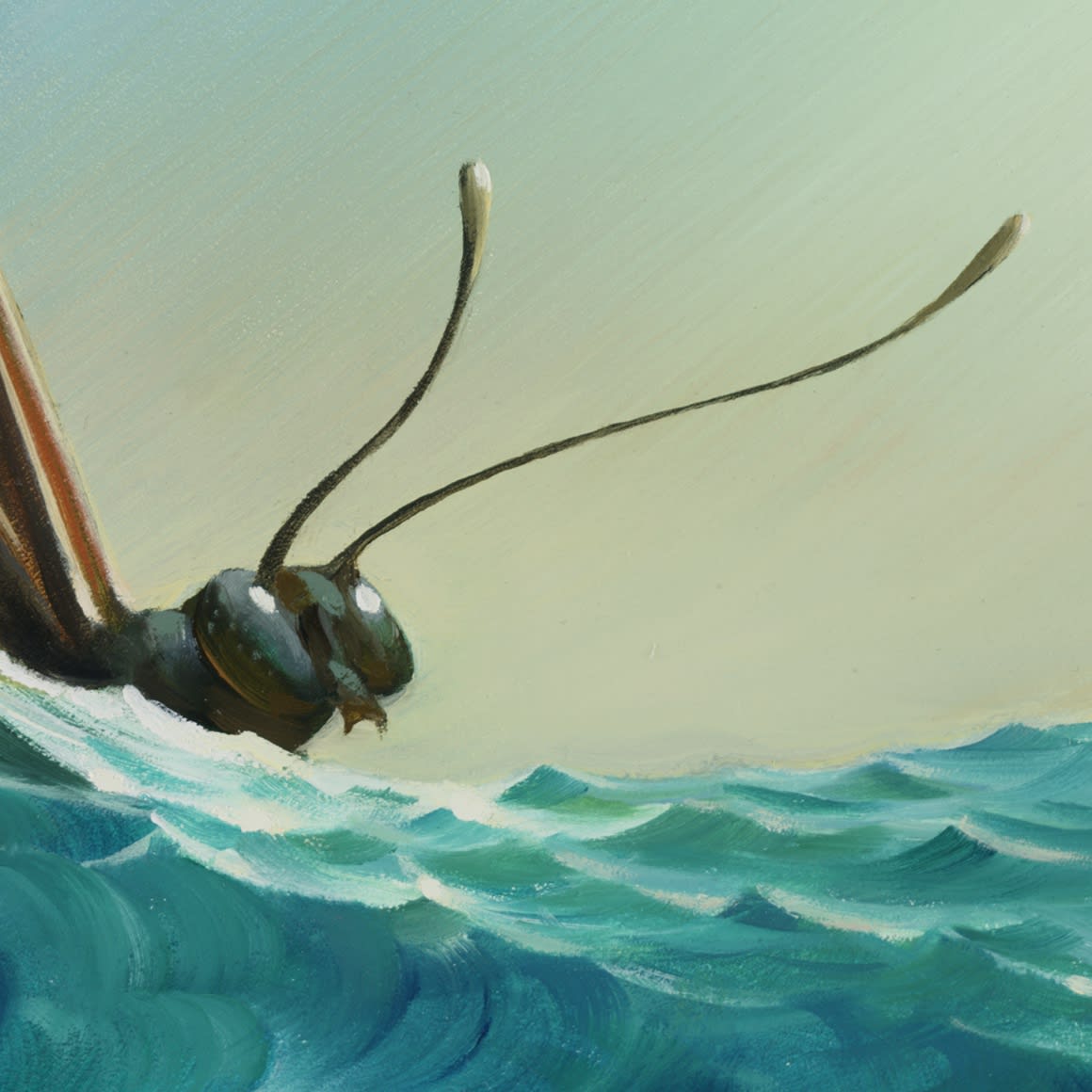 WINGSURFER