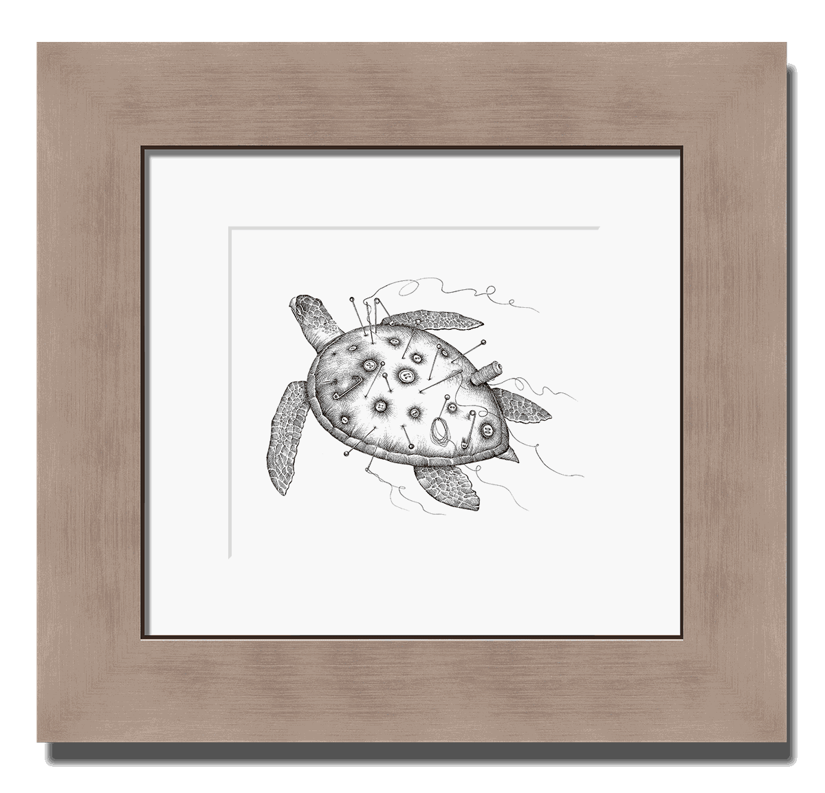 TAYLOR'S TURTLE