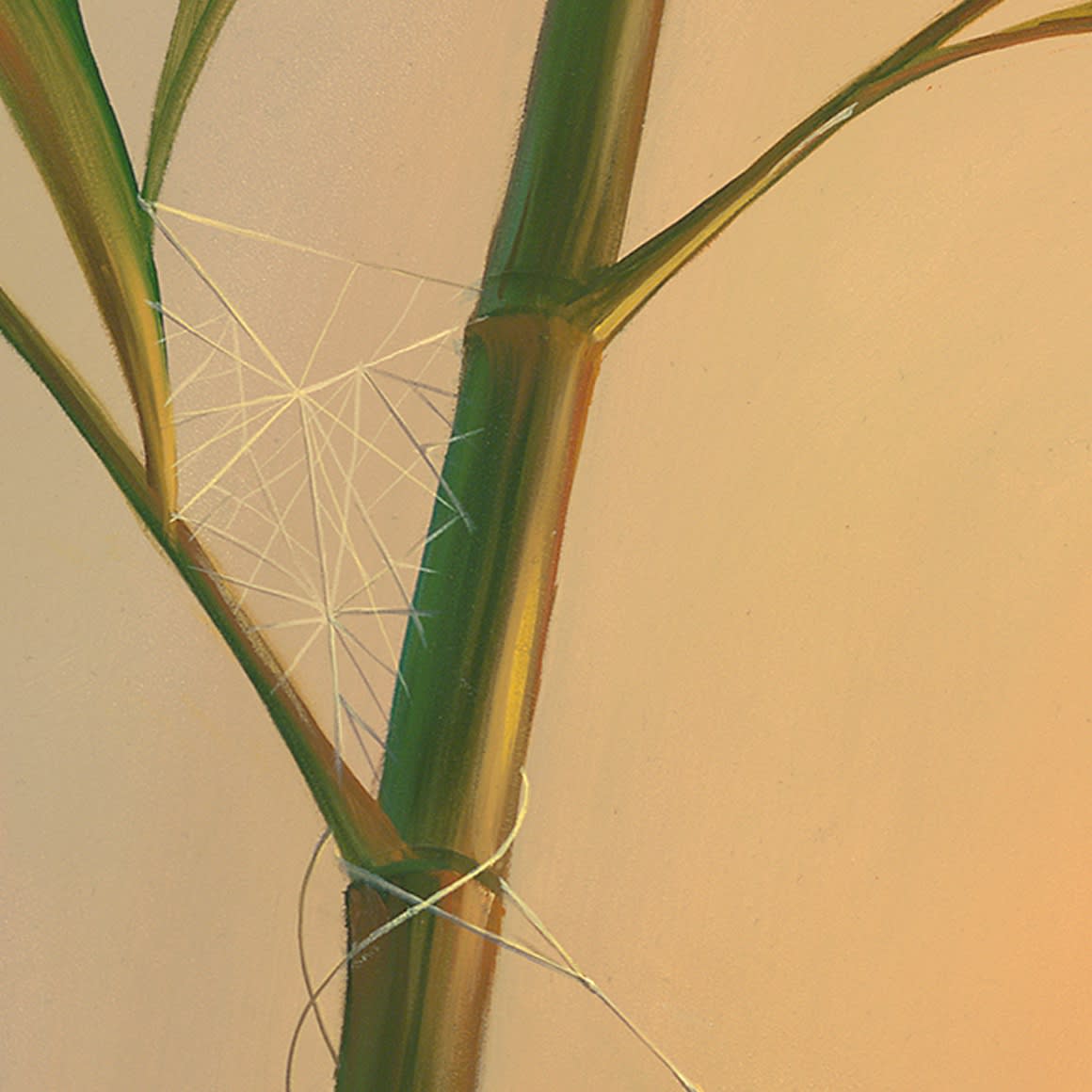 IN THE WEB OF BLISS