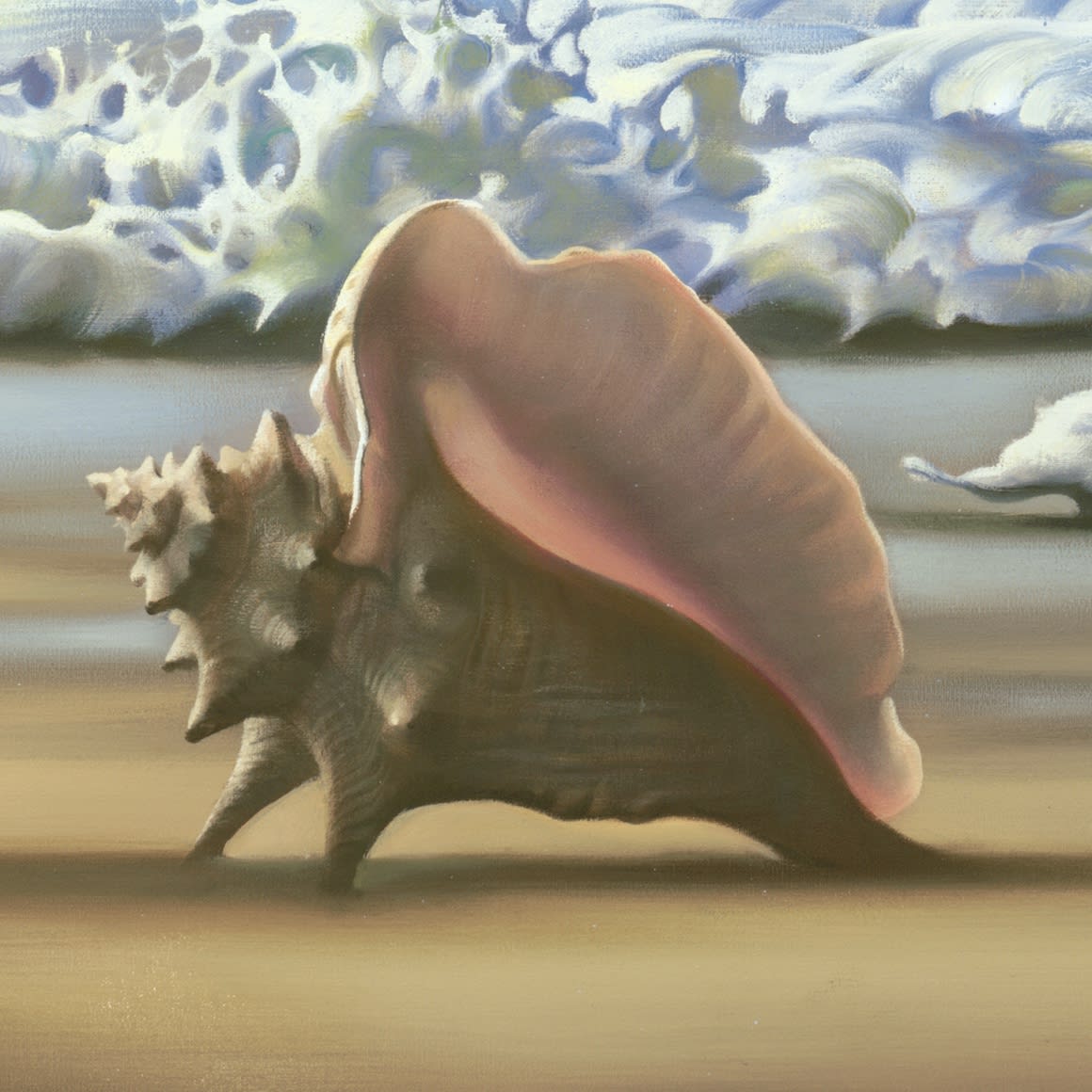 OCEAN ROAR