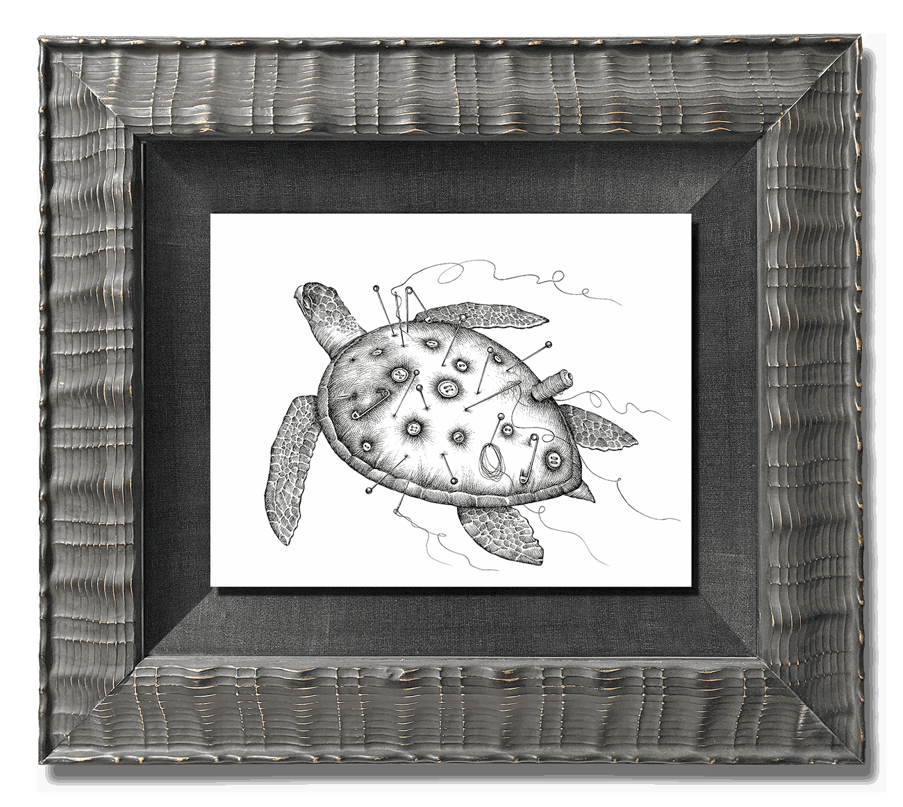 TAYLOR'S TURTLE