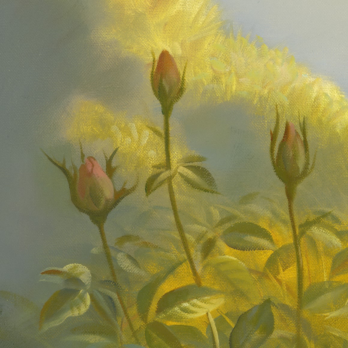AWAKENING