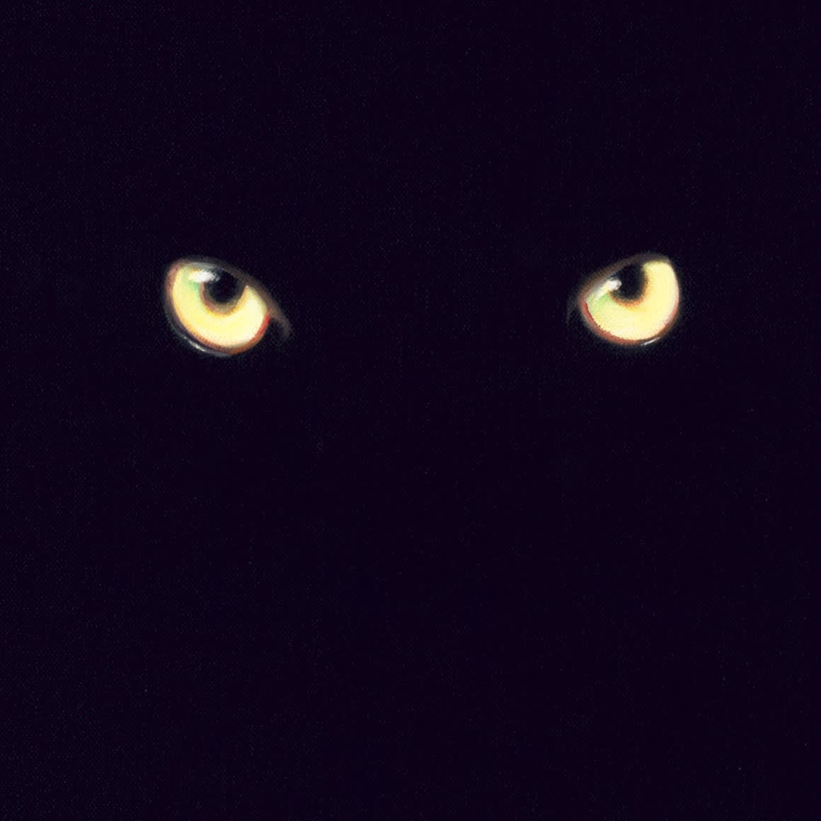 STEALTHY NIGHT