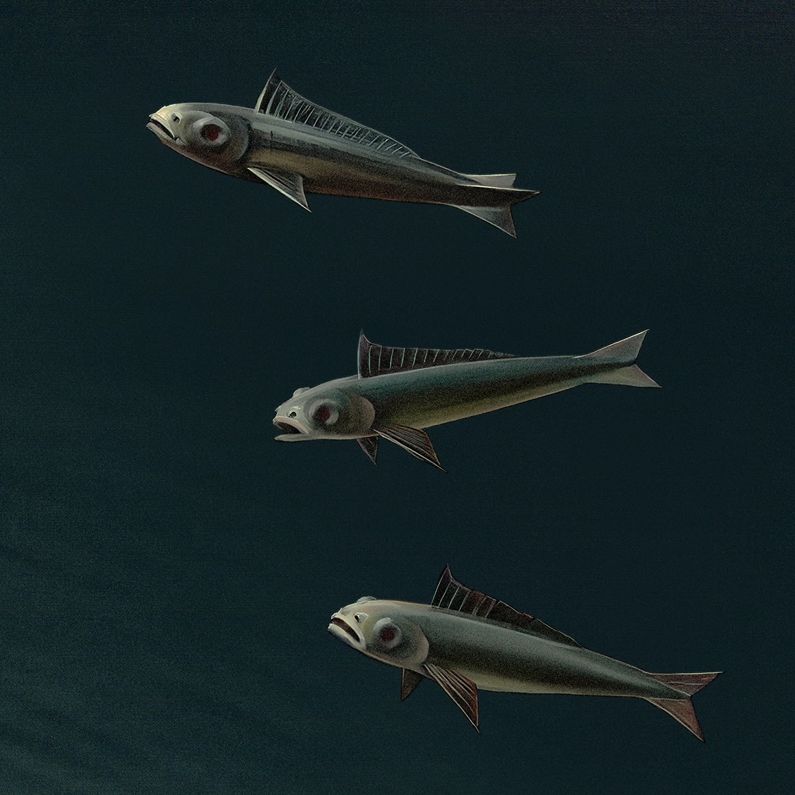 FLYING FISH - 38 x 56 INCHES