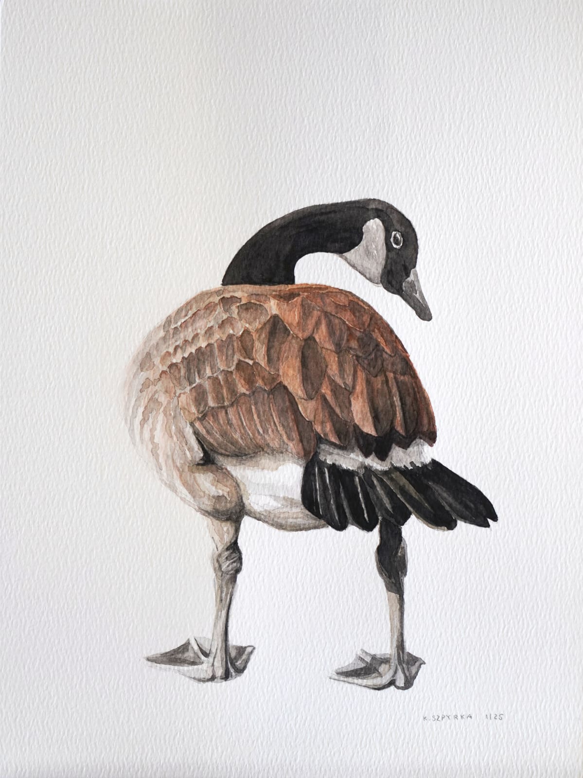 Kyle Szpyrka, Canada Goose 1, 2025
