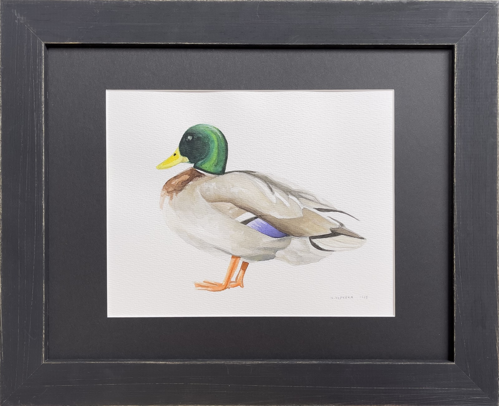 Kyle Szpyrka, Mallard Duck Large, 2025