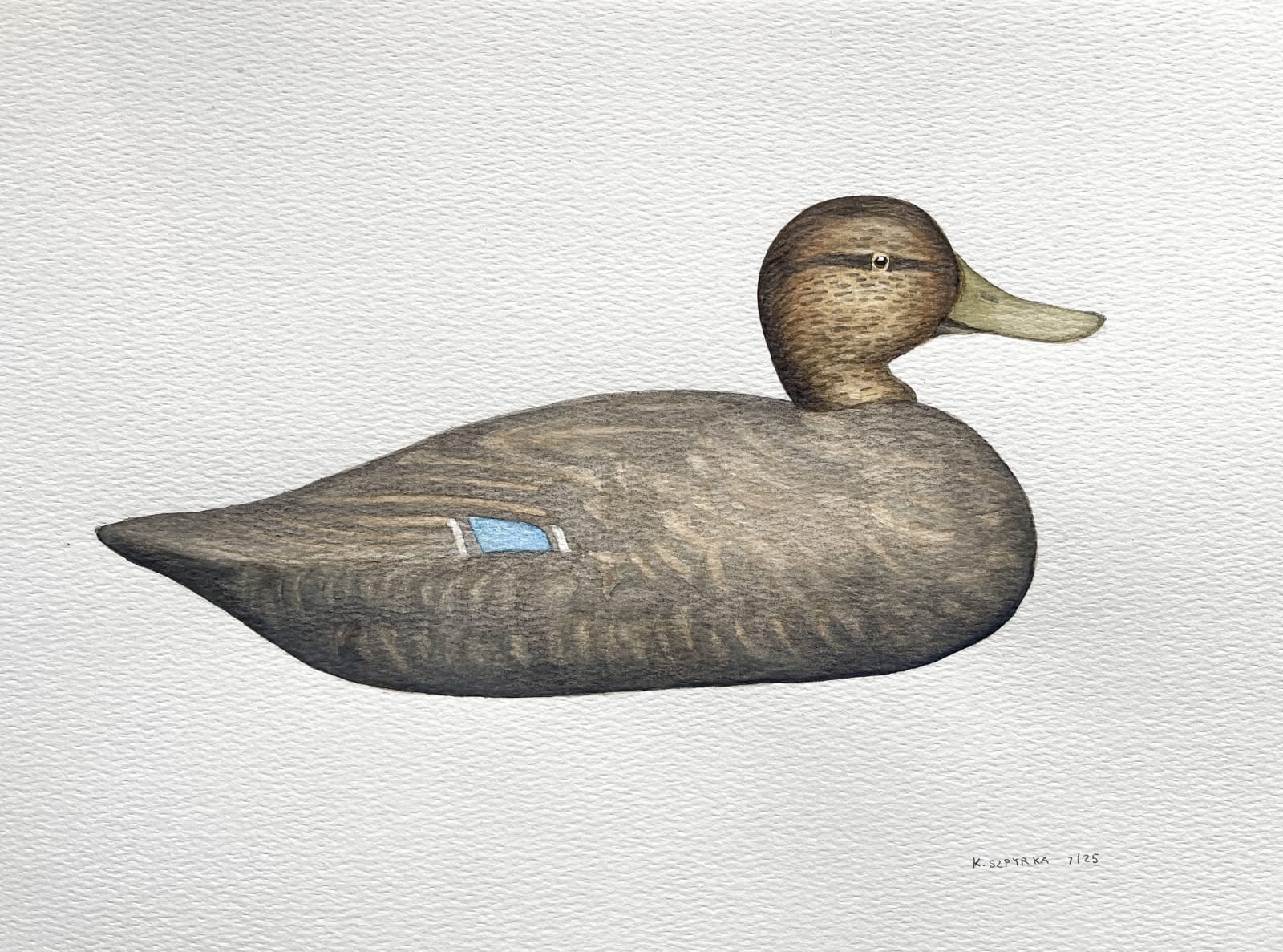 Kyle Szpyrka, Duck Decoy 1, 2025