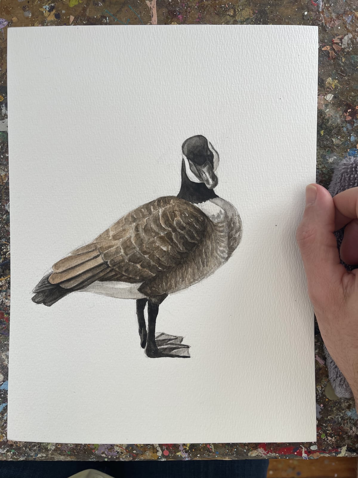 Kyle Szpyrka, Canada Goose Large, 2025