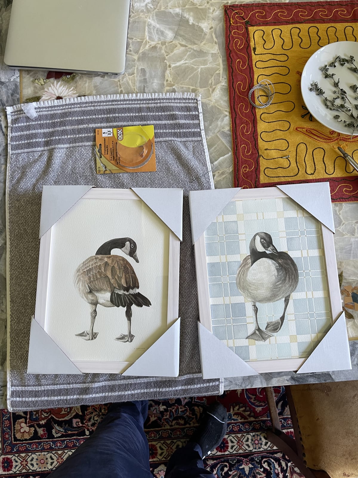 Kyle Szpyrka, Canada Goose 1, 2025