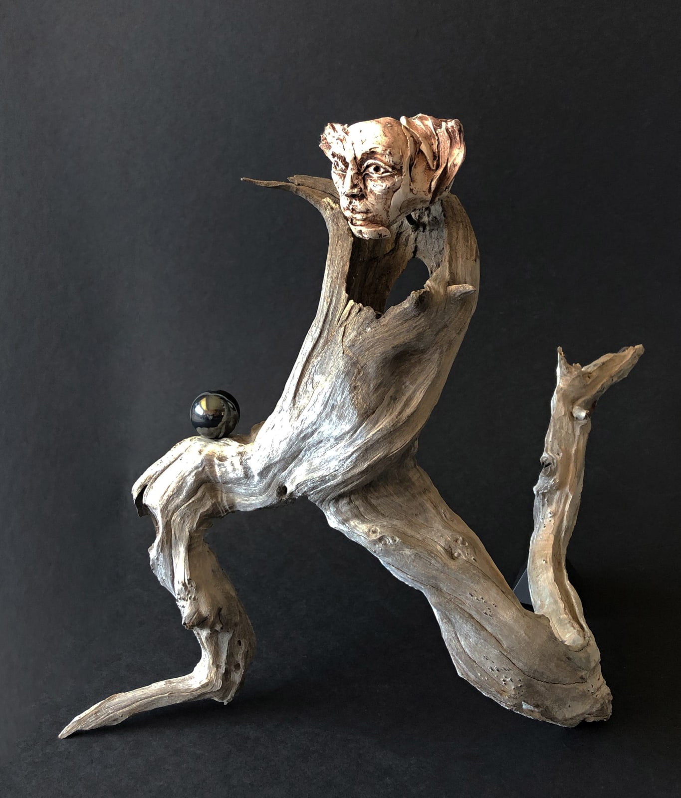 Rafael Trelles, Fauno, 2019
