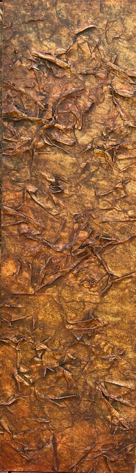 Jaime Suárez, Topografía, 2020