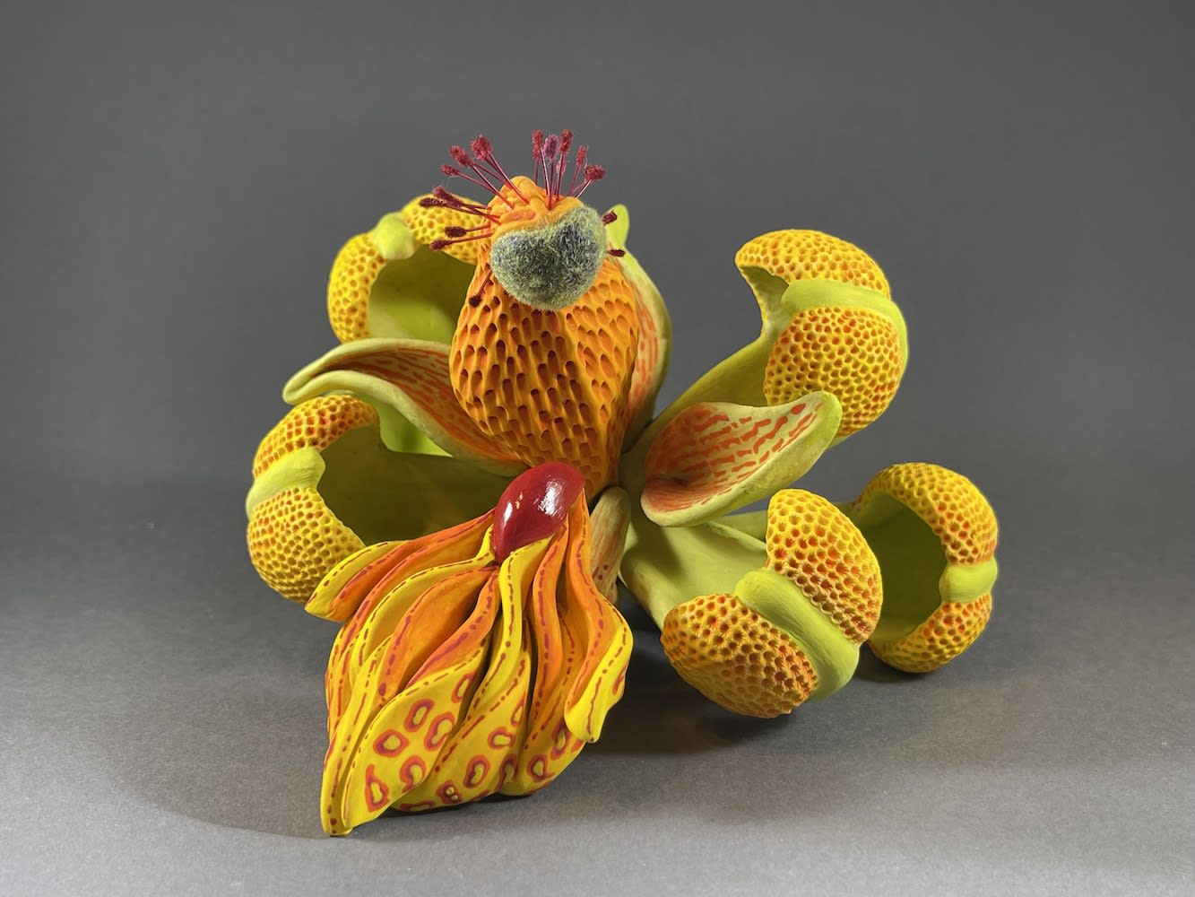 Cj Jilek, Spring Narcissist, 2022