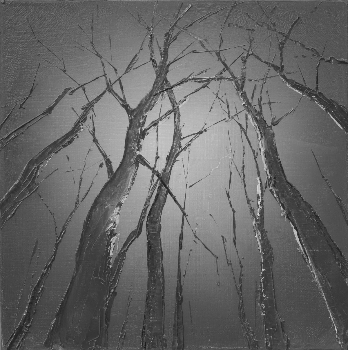 Todd Carpenter, Forestphere, 2026