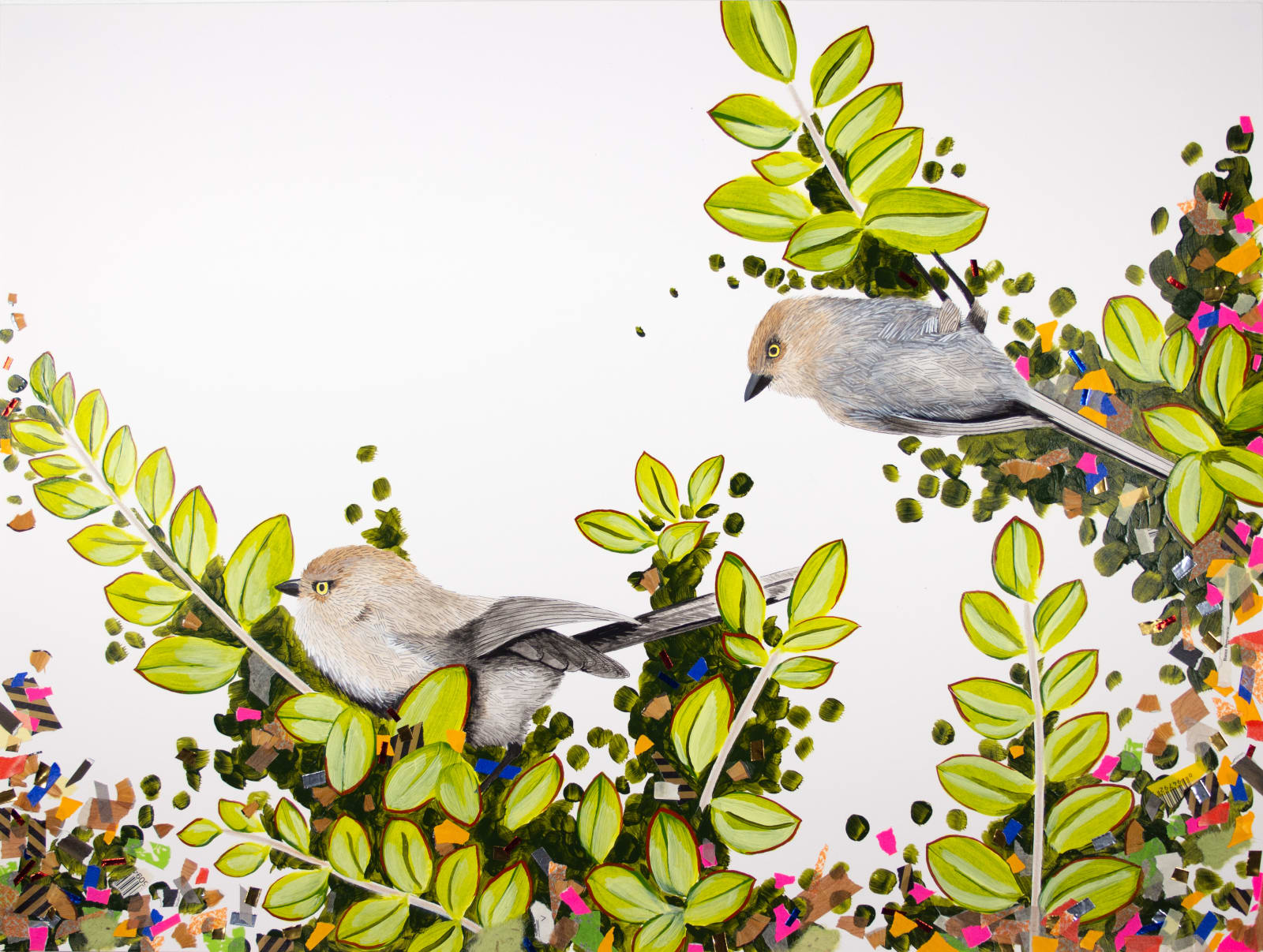 Andre Yi, American bushtits (suspicious), 2025