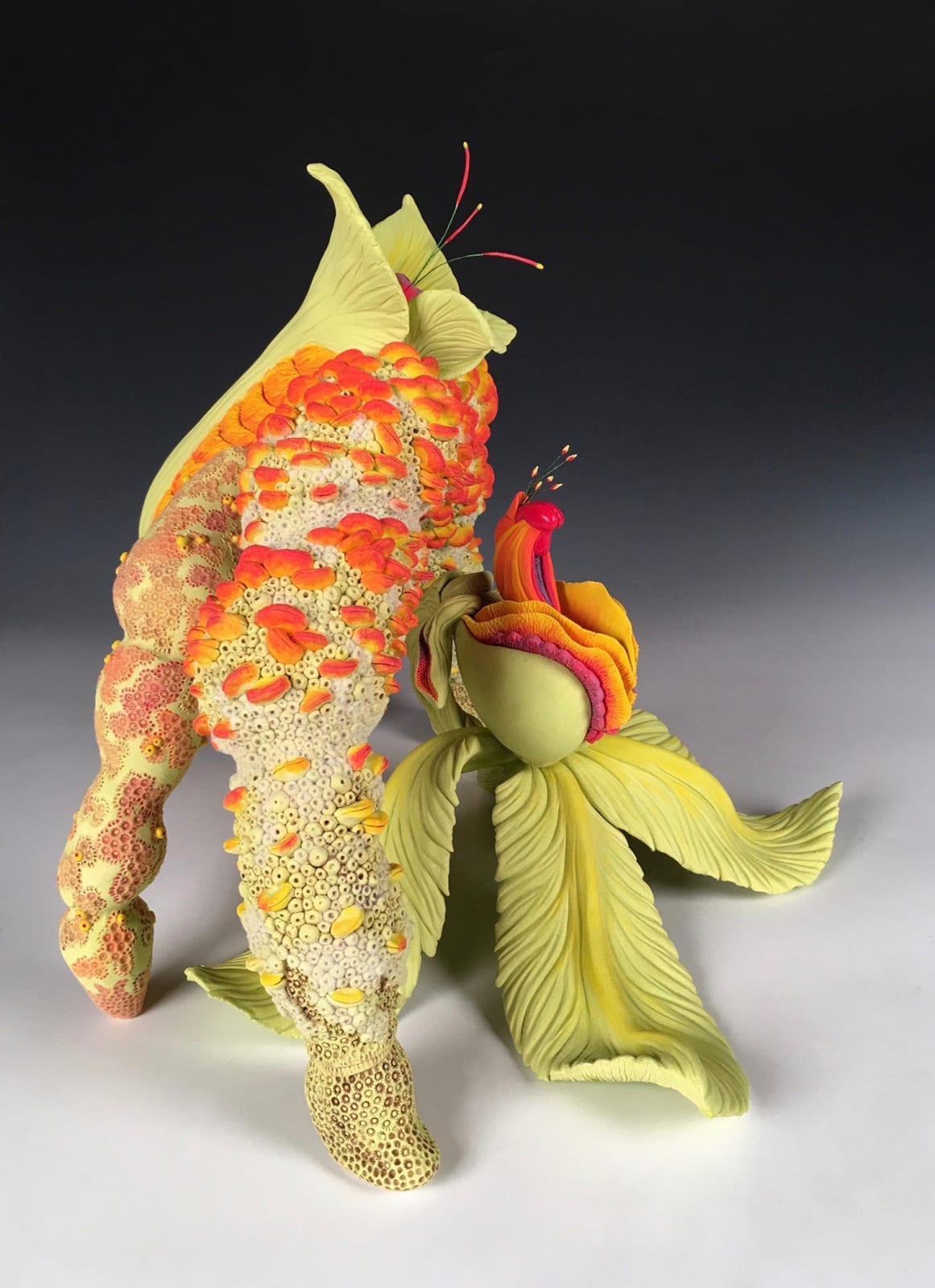 Cj Jilek, Perspective, 2017