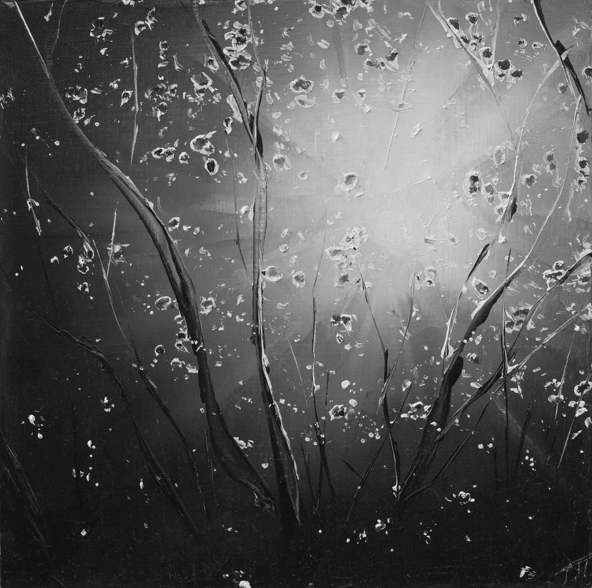 Todd Carpenter, Glowers, 2025