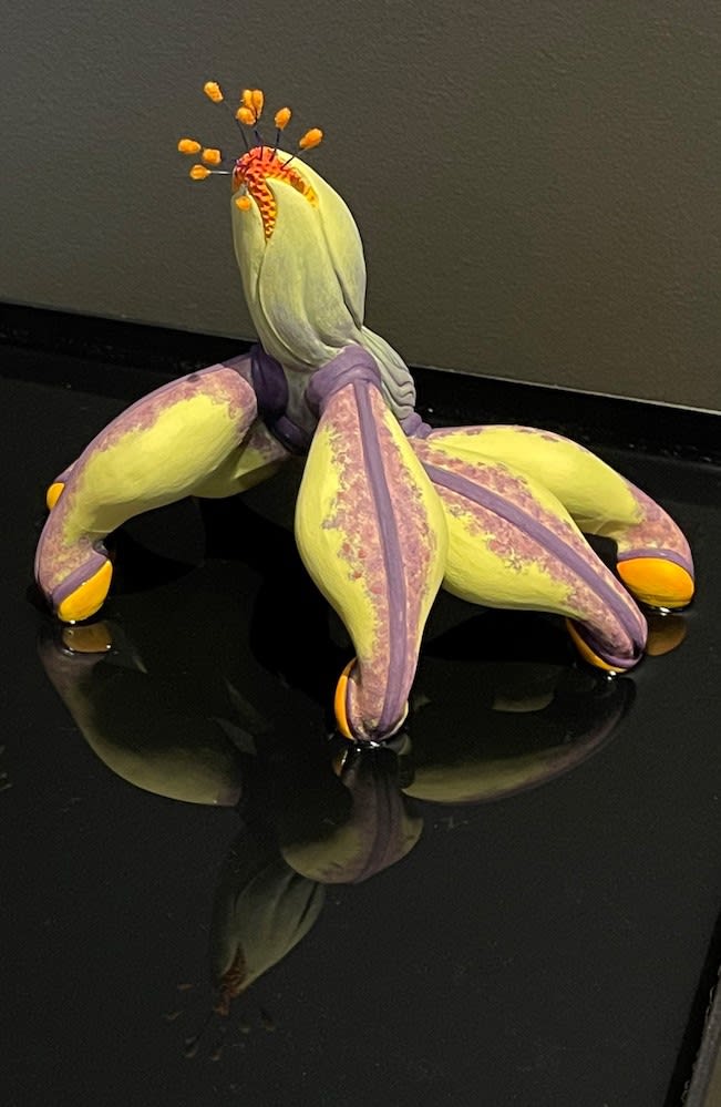 Cj Jilek, Grevillea Robusta, 2022