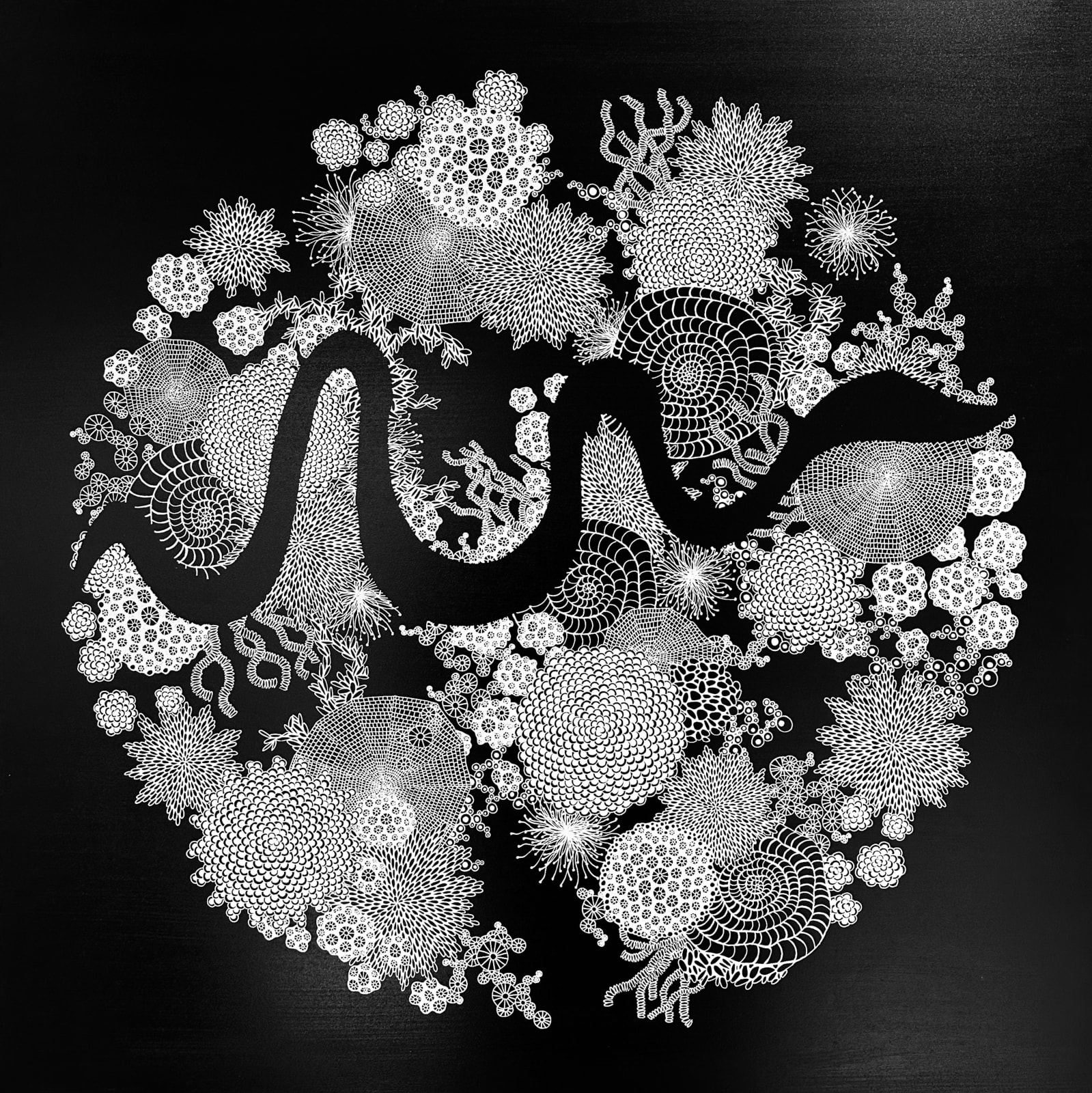 Zo Frampton, Midnight in the Garden, 2025