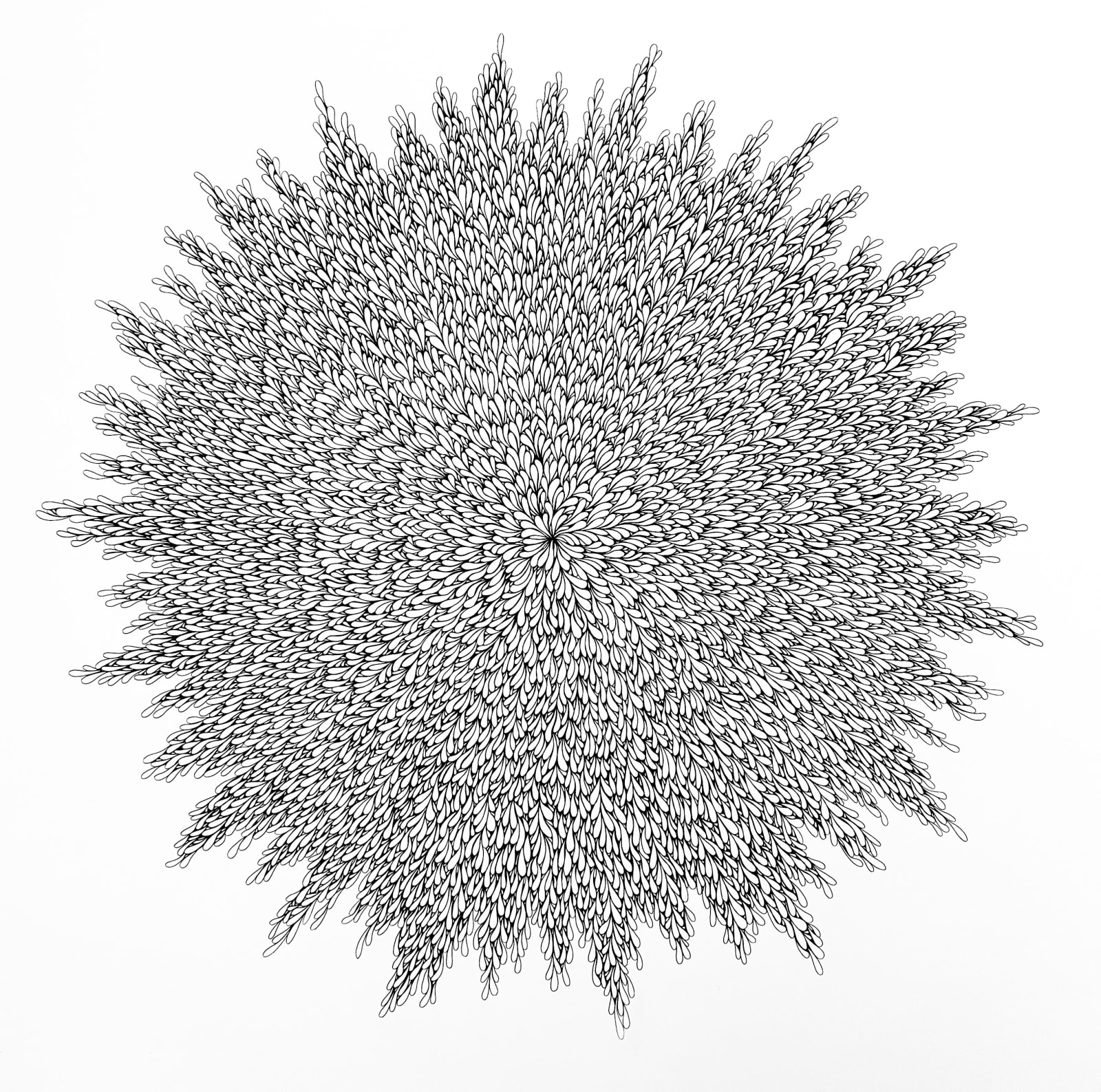 Zo Frampton, Night Blossom, 2025