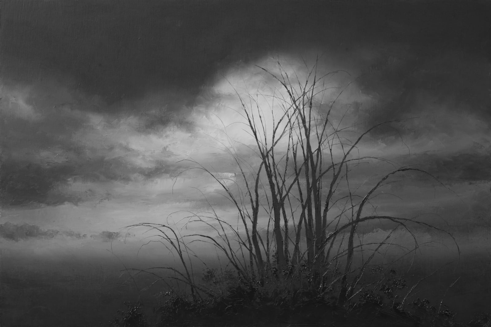 Todd Carpenter, Resynthesized, 2025