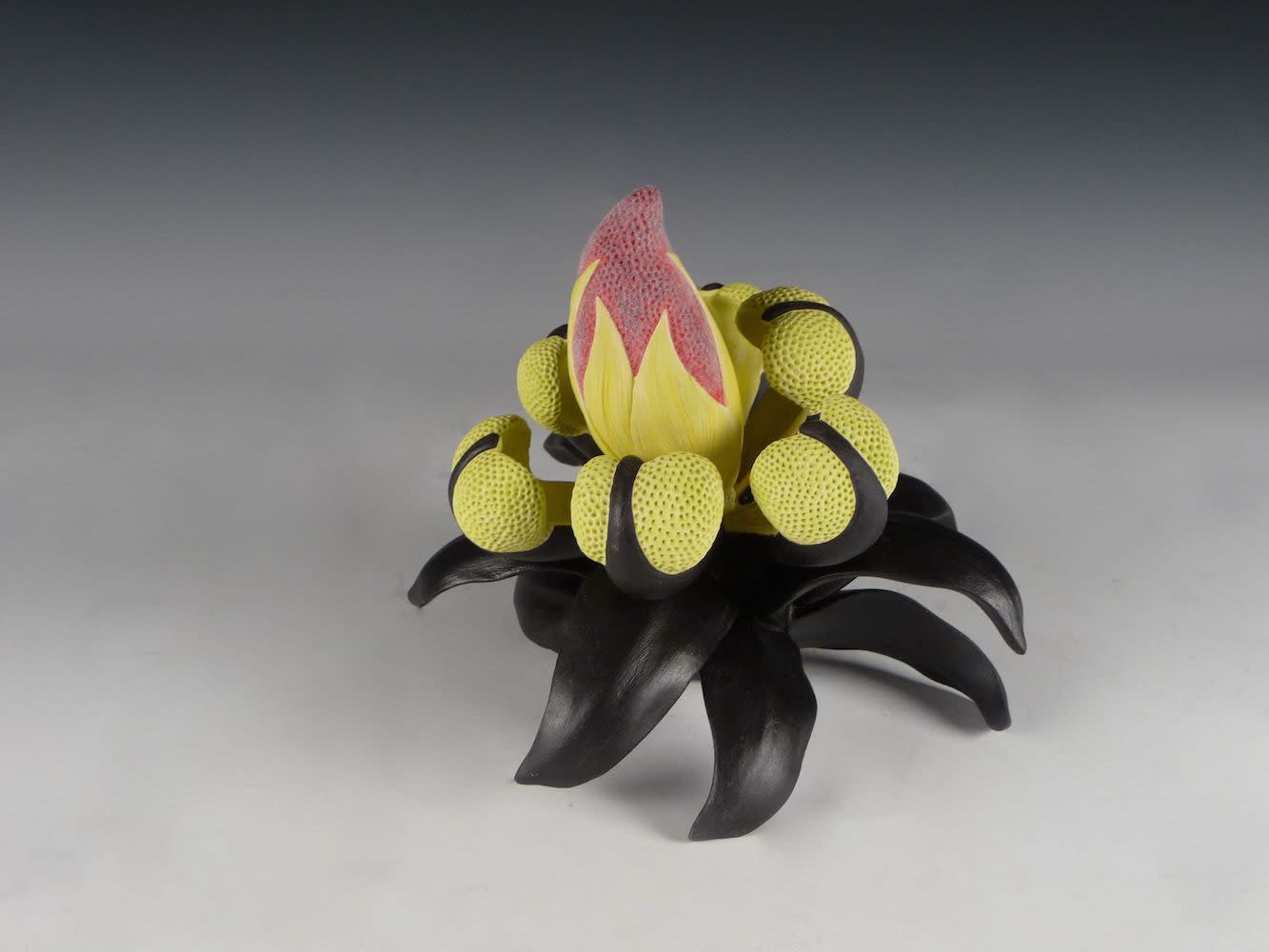 Cj Jilek, Peranth 2, 2022