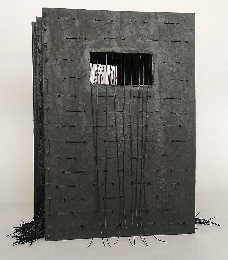 Debra Disman, Maximum Security, 2018