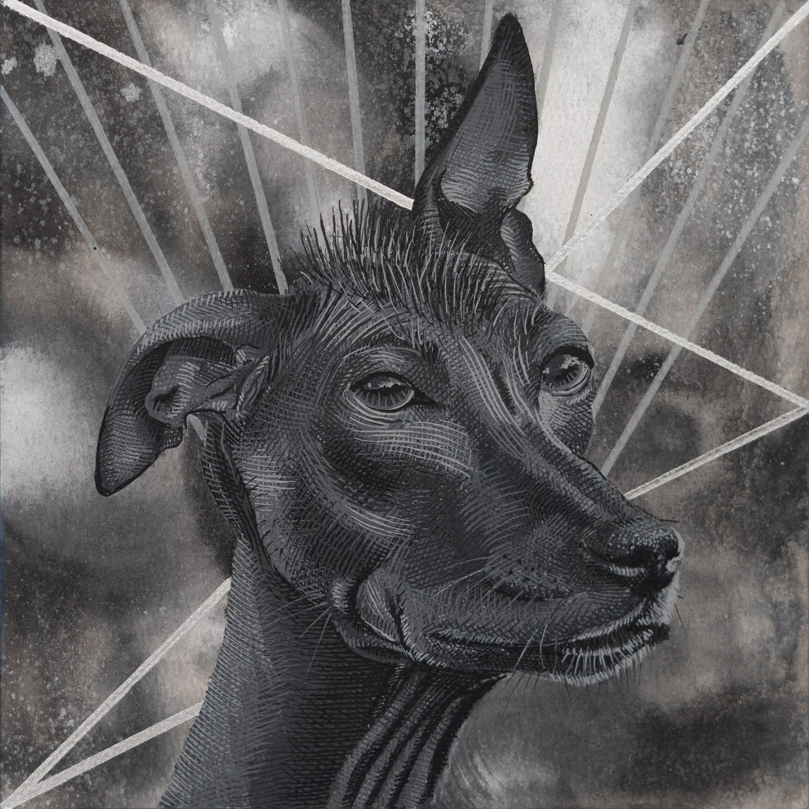 Abel Alejandre, Xolo No.11, 2025