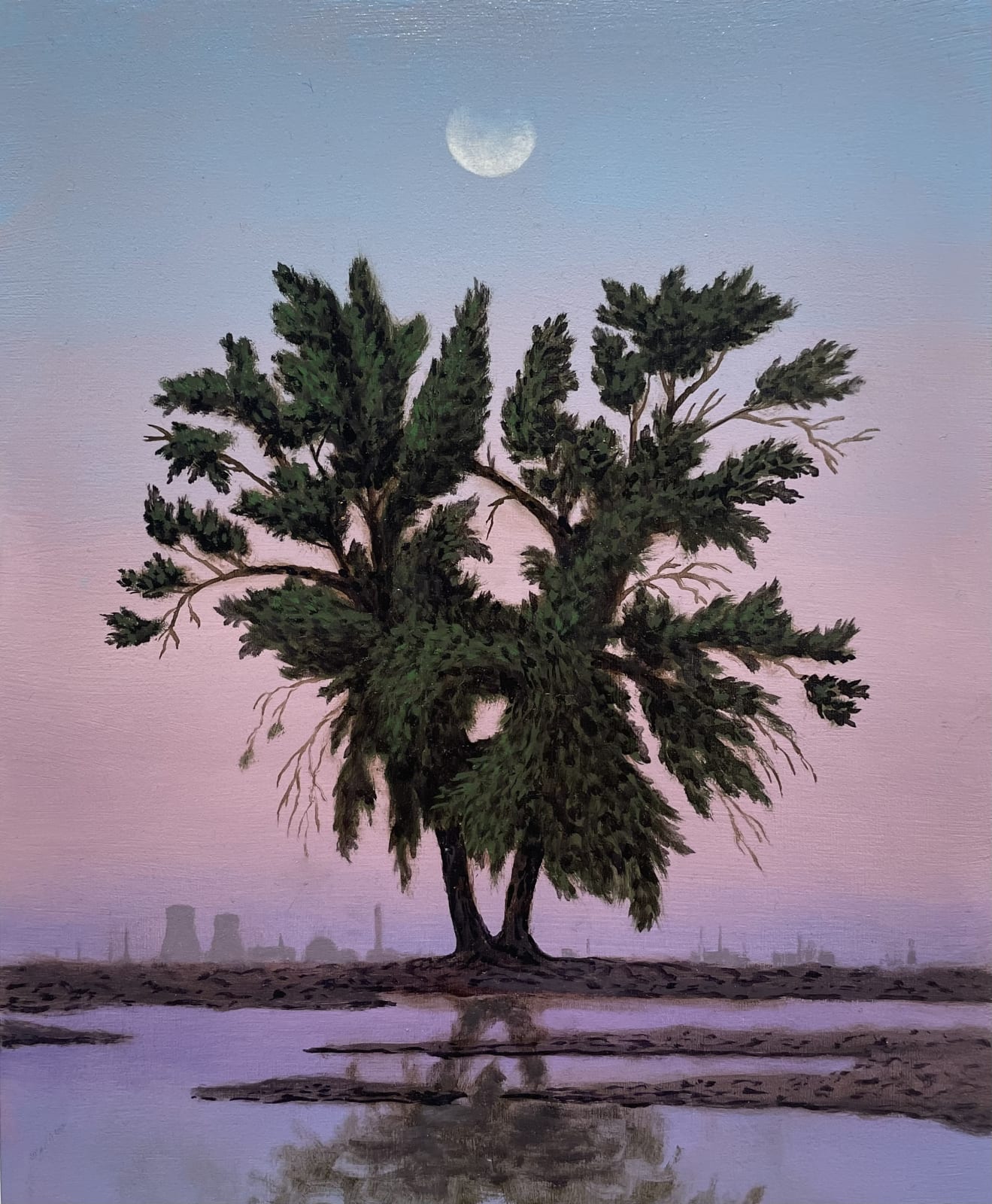 Jamie F. Adams, Willow Piece #12, 2024