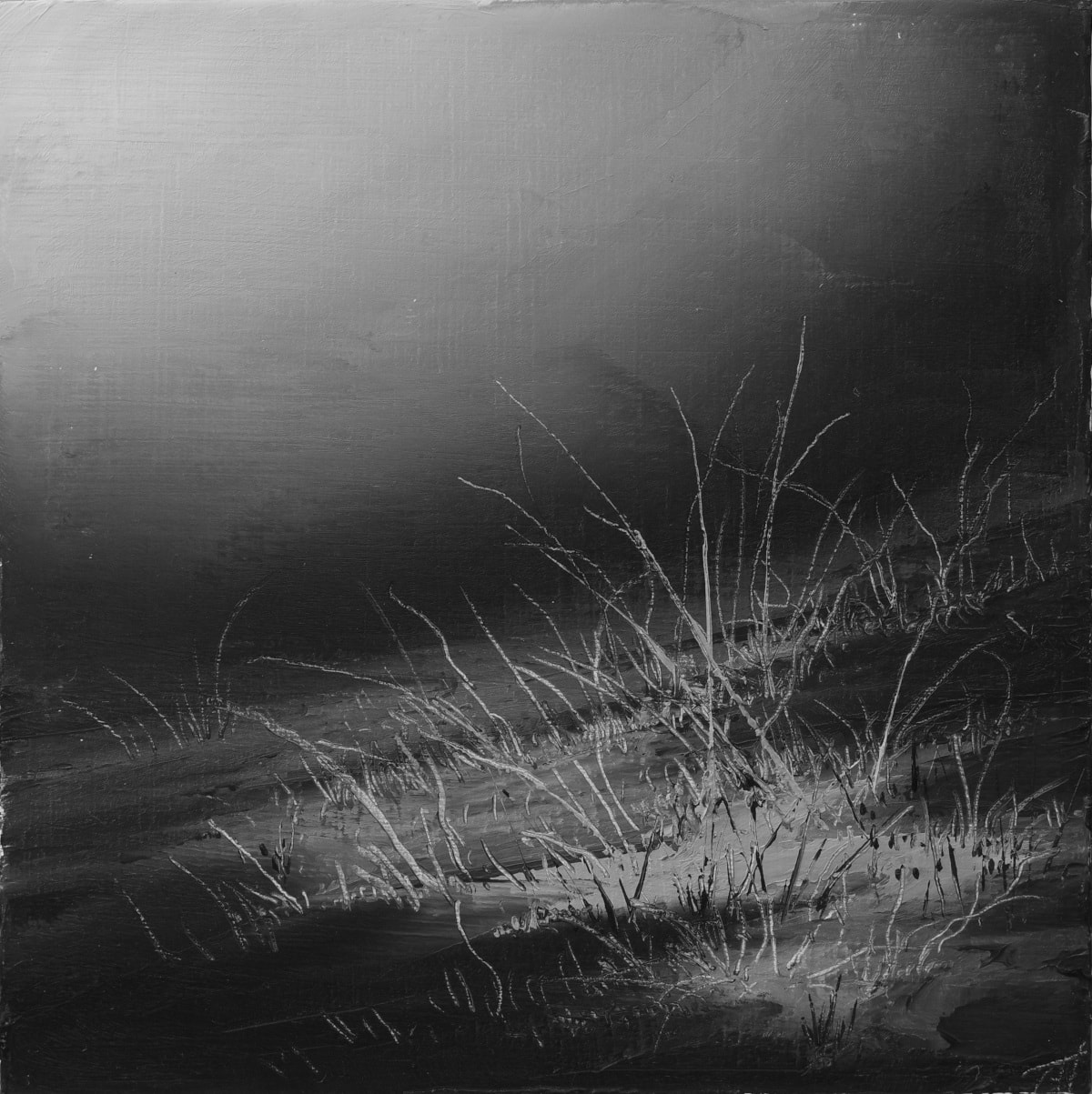 Todd Carpenter, Shadows Sown, 2025
