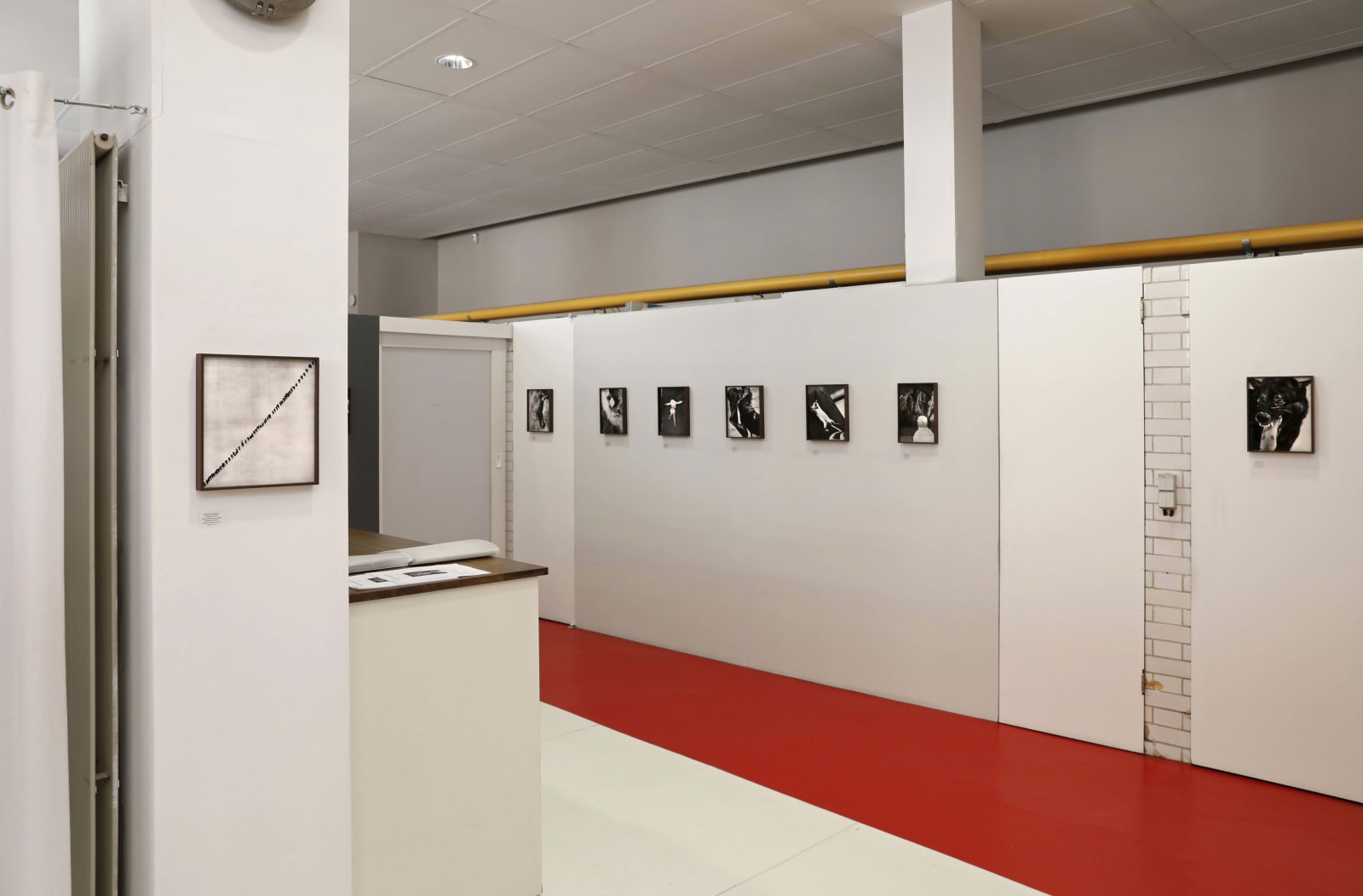 Sébastien Camboulive, Contiguïté, 2019 Les Douches la Galerie, Paris