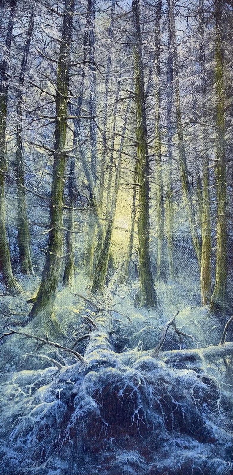 Gerald Dewsbury RCA, Winter wonderland VI, 2024