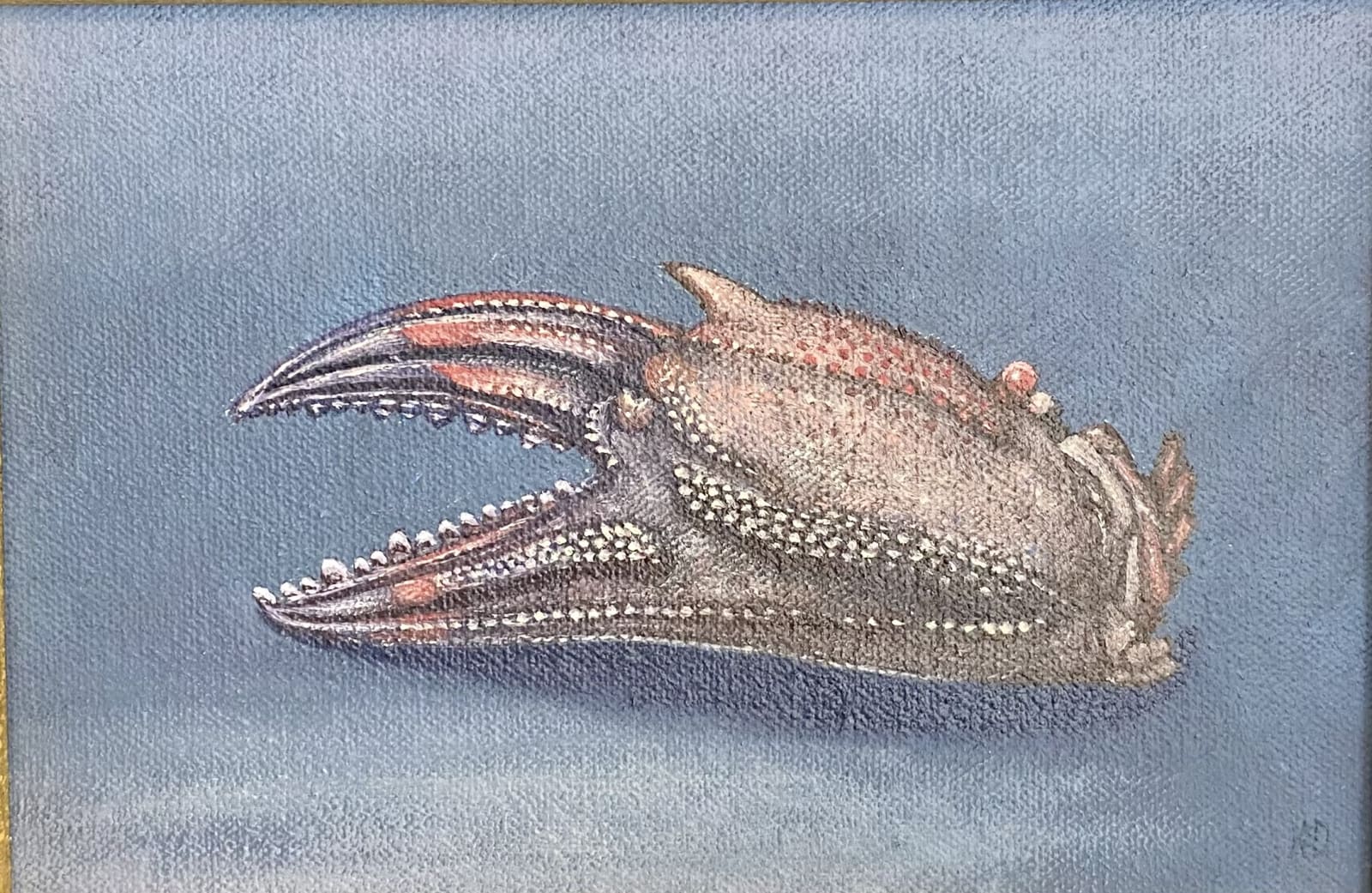 Kim Dewsbury, Crab claw II, 2024
