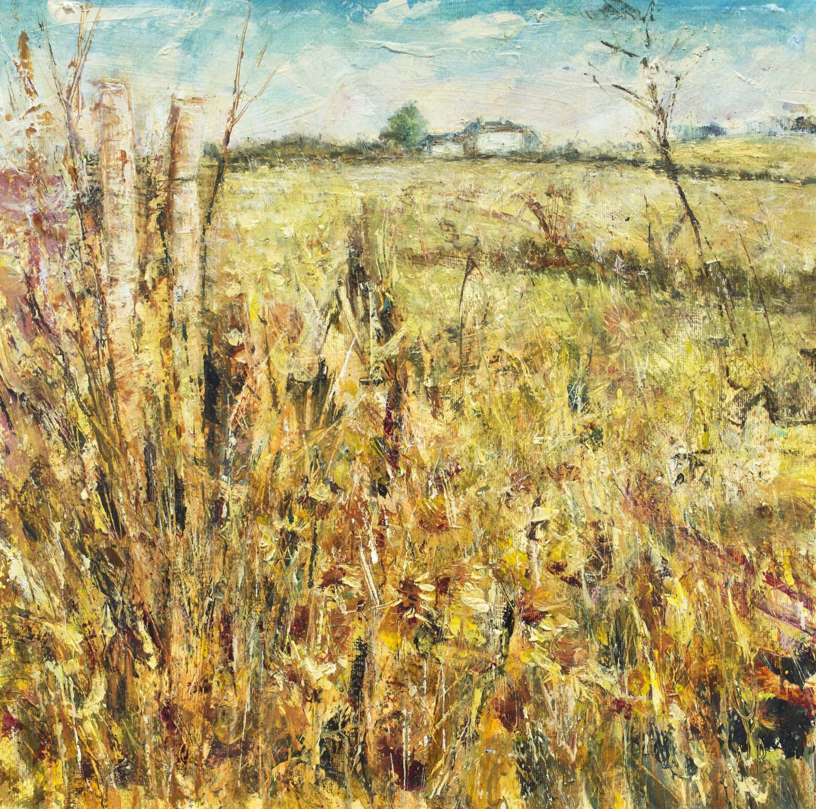 Nick Pritchard, Summer field.Raglan, 2023