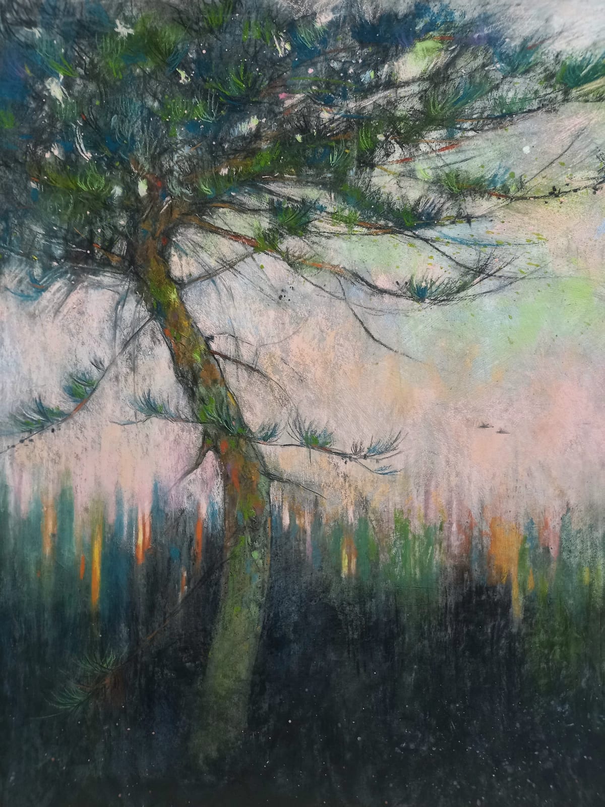 Katrina Wallis King, Black Down Pine, 2025