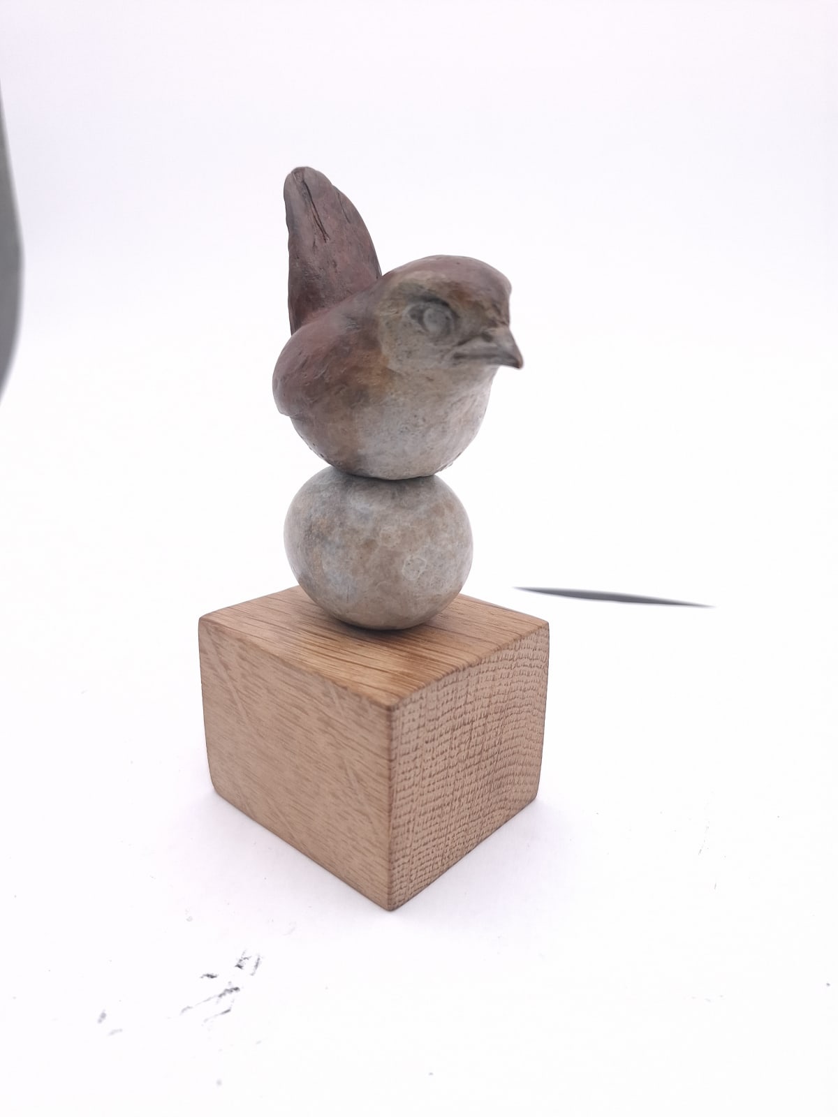 Chris Weston, Unsettled Wren , 2025