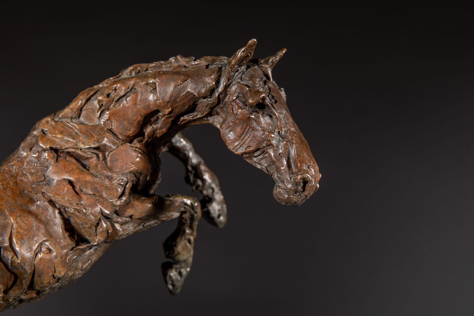 Jane shaw , Loving life, 2023