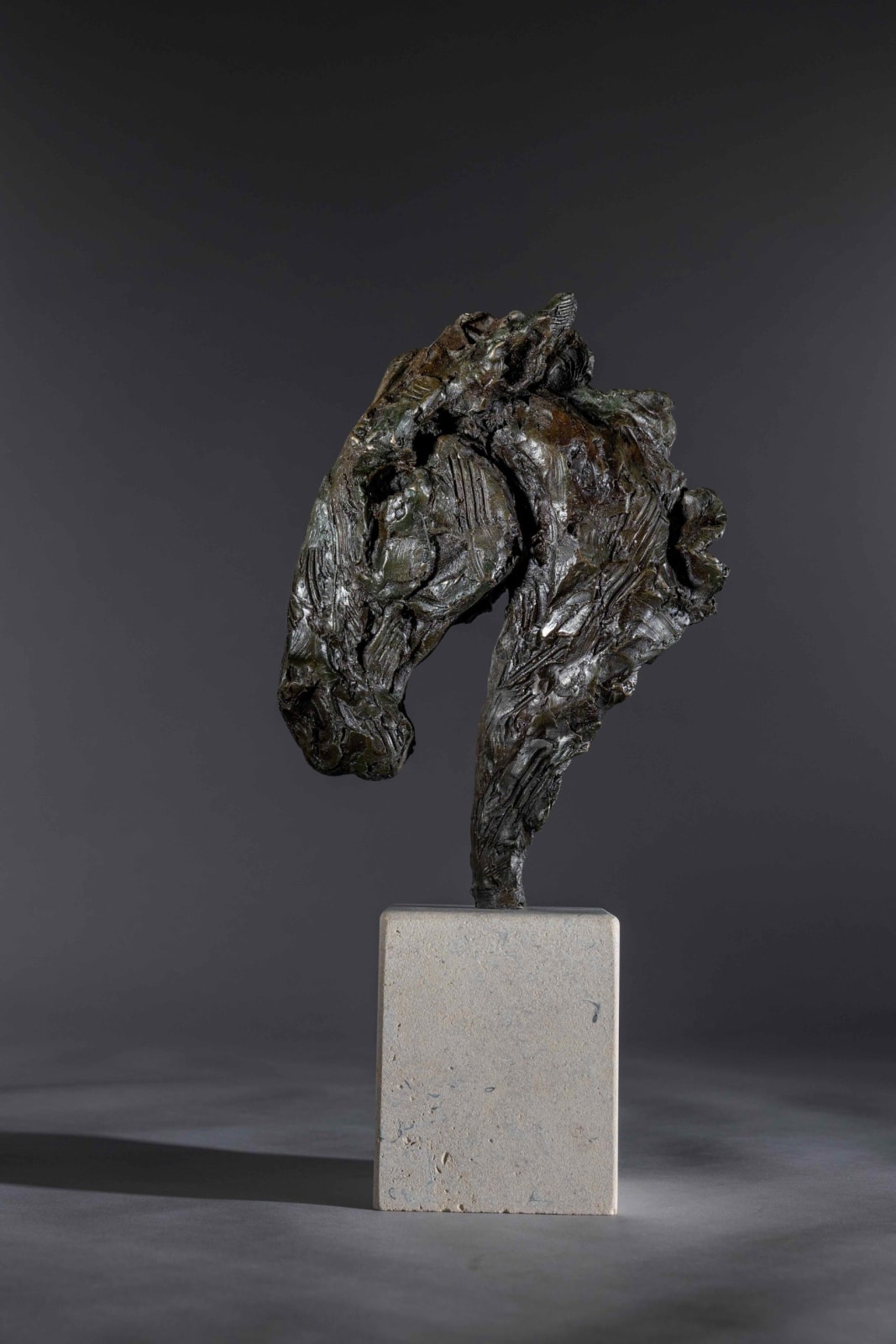 Jane shaw , War horse, 2023