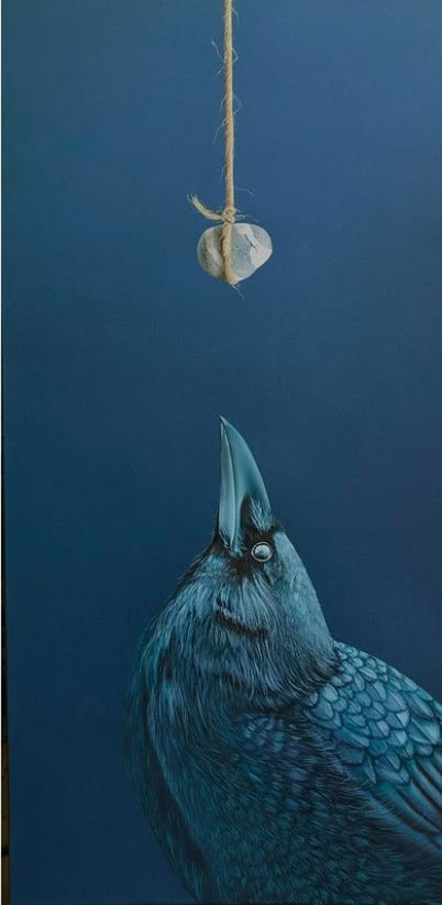 Robin Tucker, Hypnotized, 2024