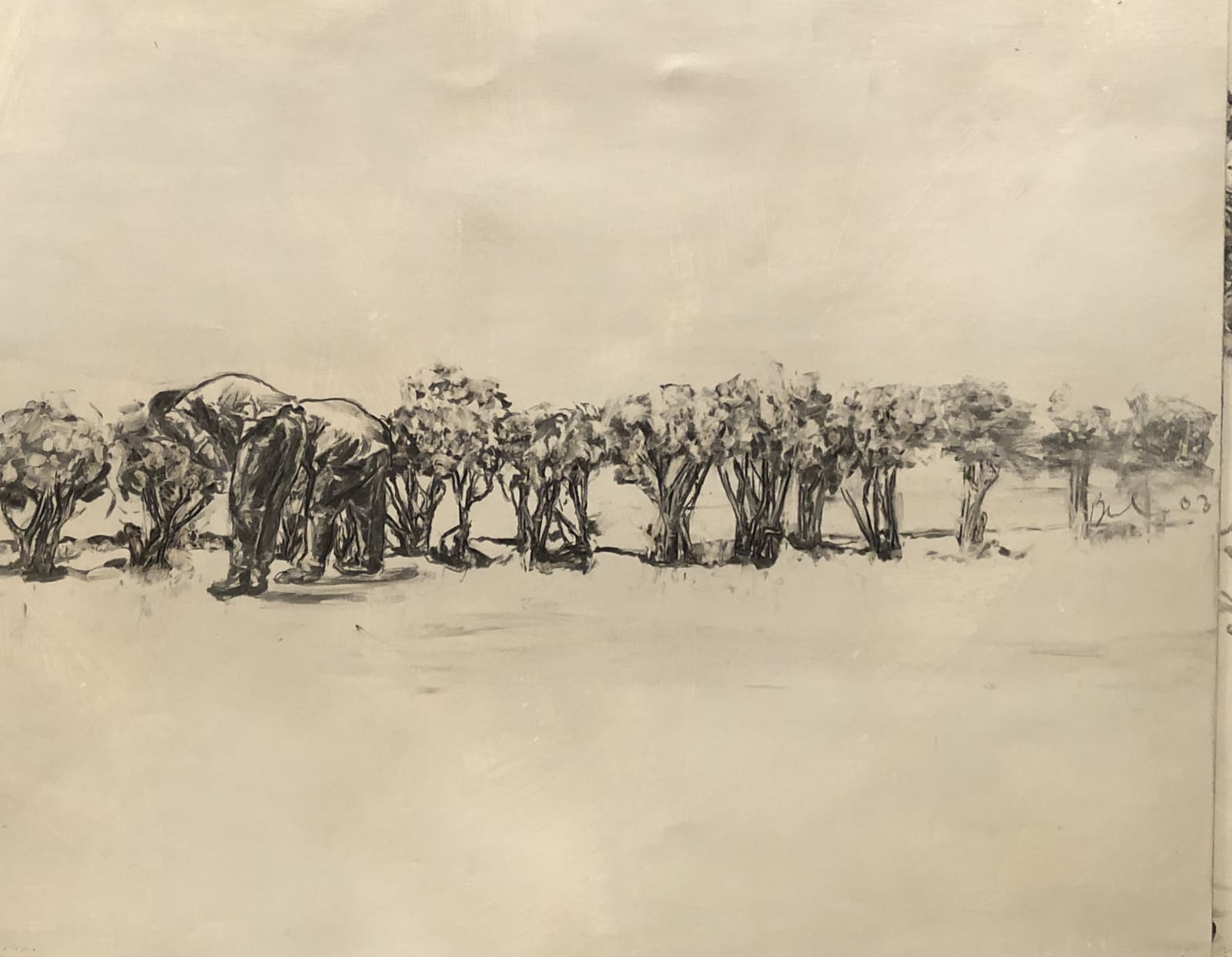 David Bailin, Camouflage , 2003