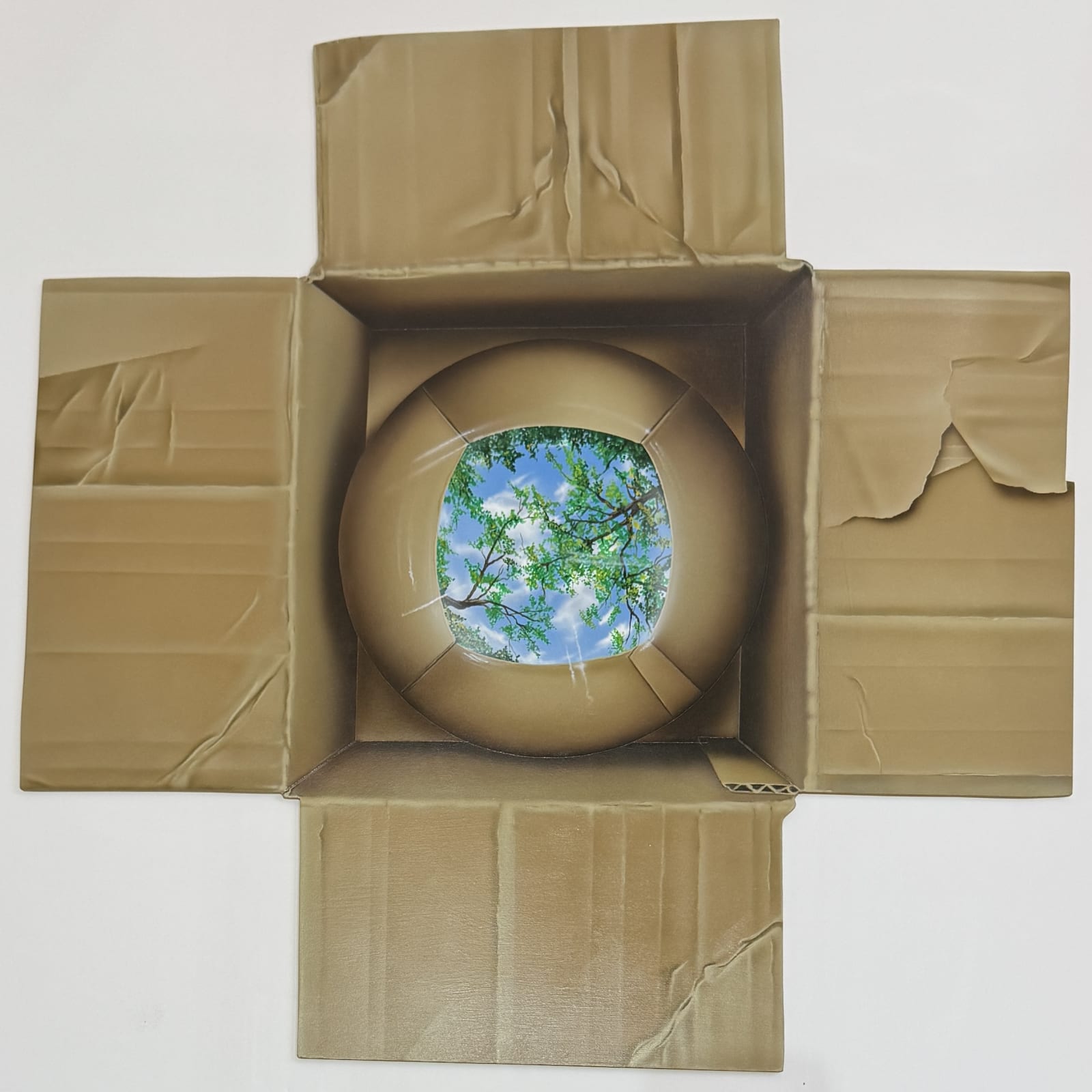 Robin Tucker, Reflection, 2025