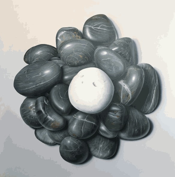 Robin Tucker, History, 2023