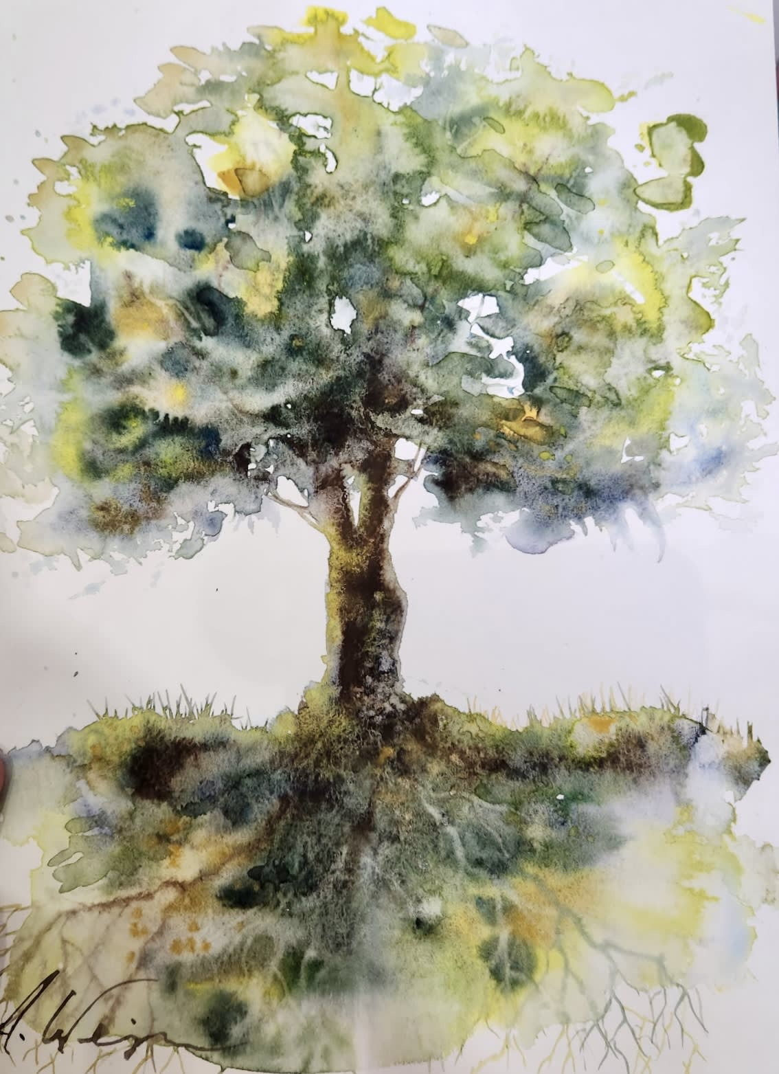 Amber Weinzimer , Roots Series: 1, 2025