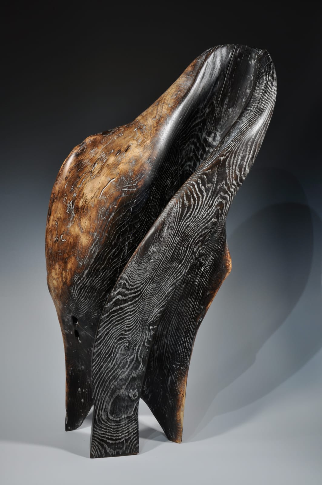 Sandra Sell, Protective Gathering, 2020
