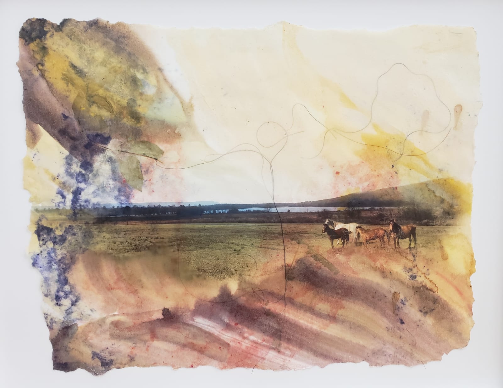 Melissa Cowper-Smith, Renaming of Past Landscapes