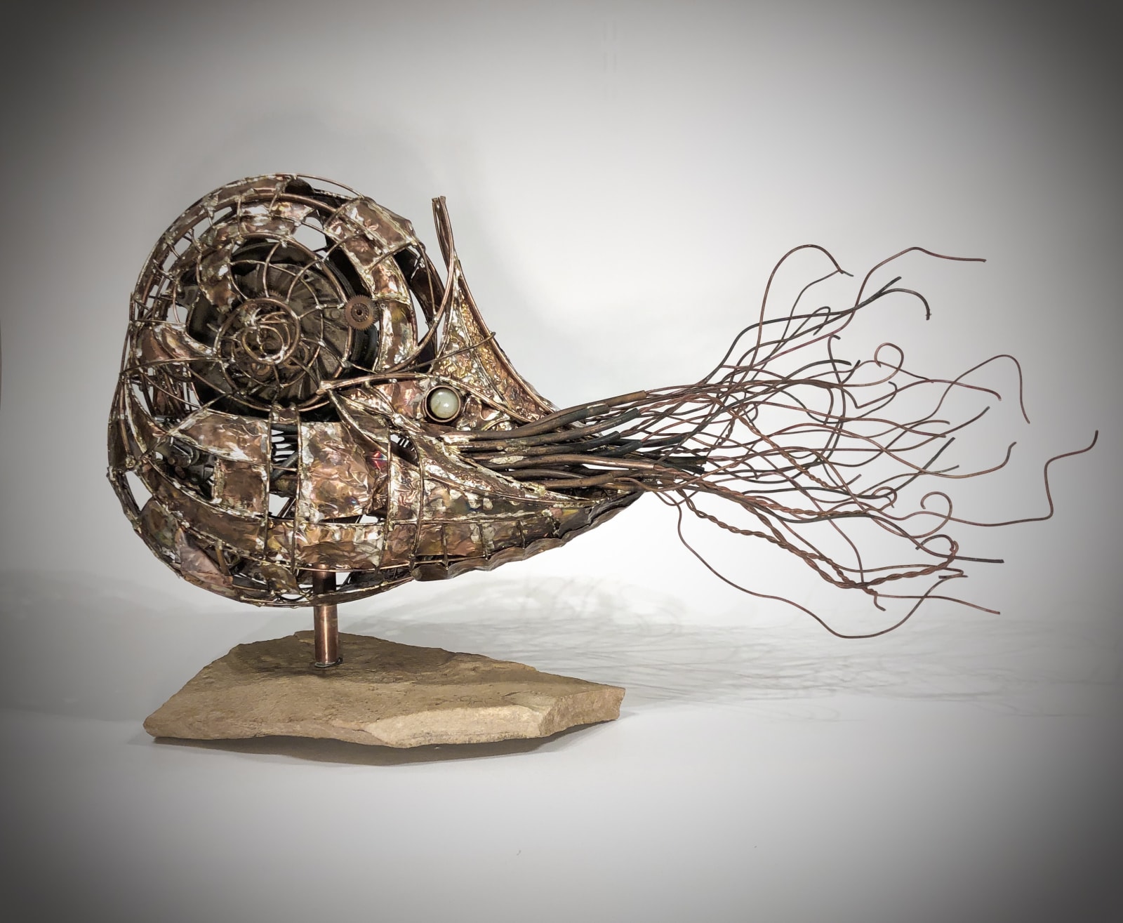 Chris Hynes, Nautilus