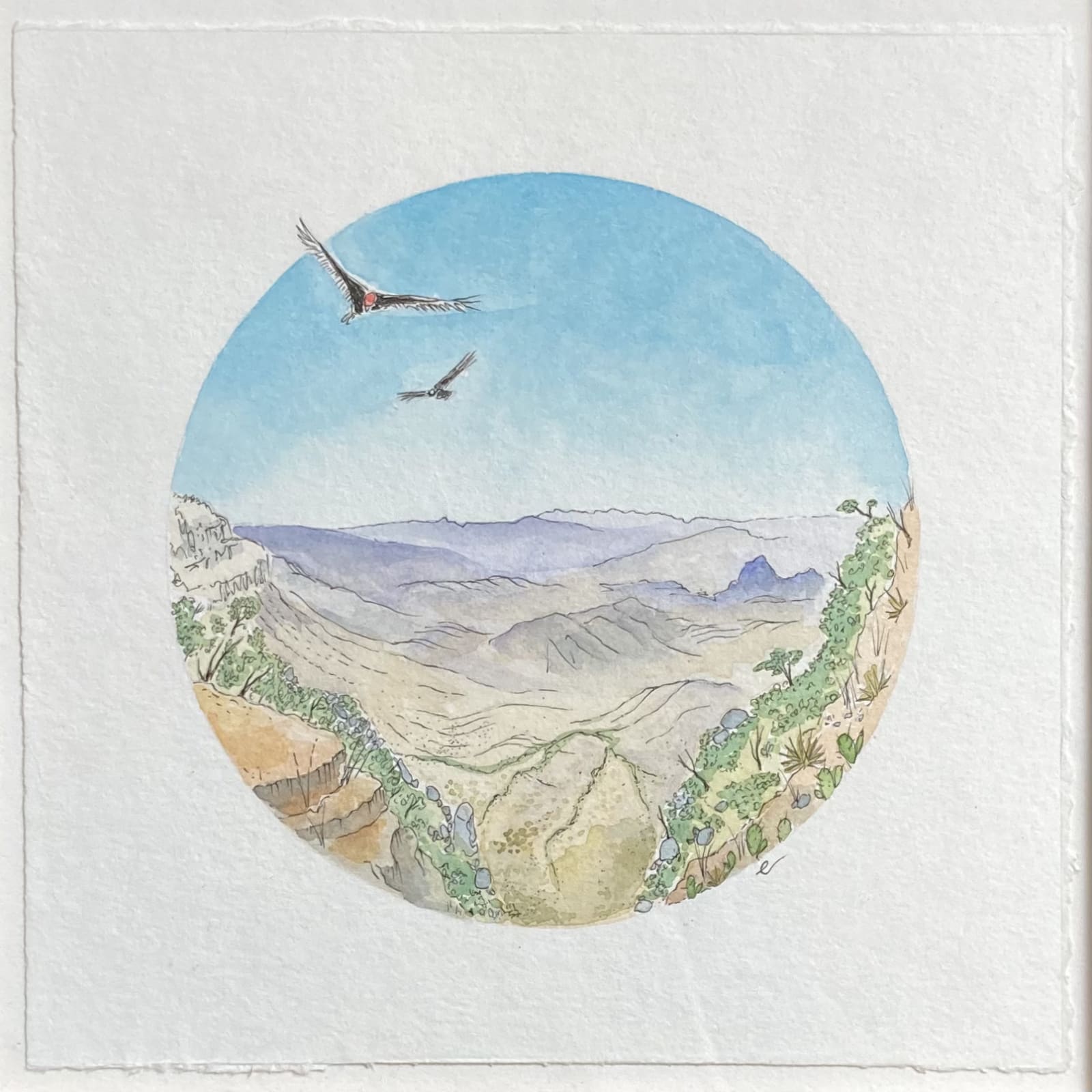 Emily Galusha, Canyon in the Rain