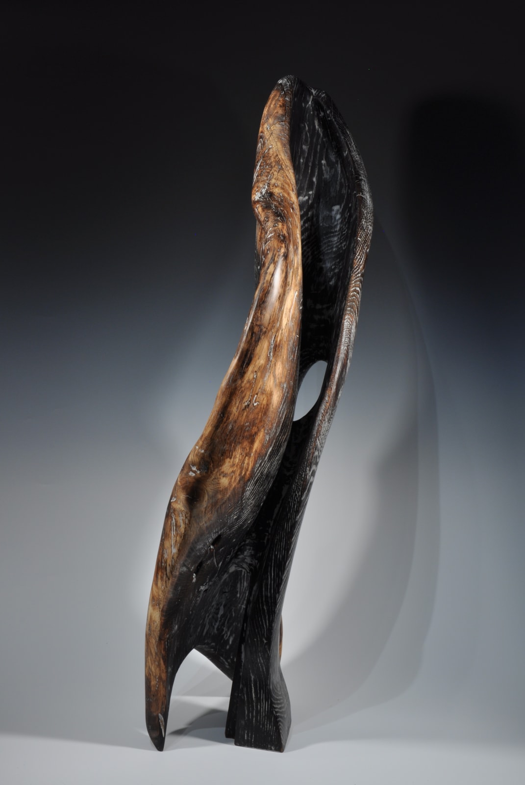 Sandra Sell, Protective Gathering, 2020