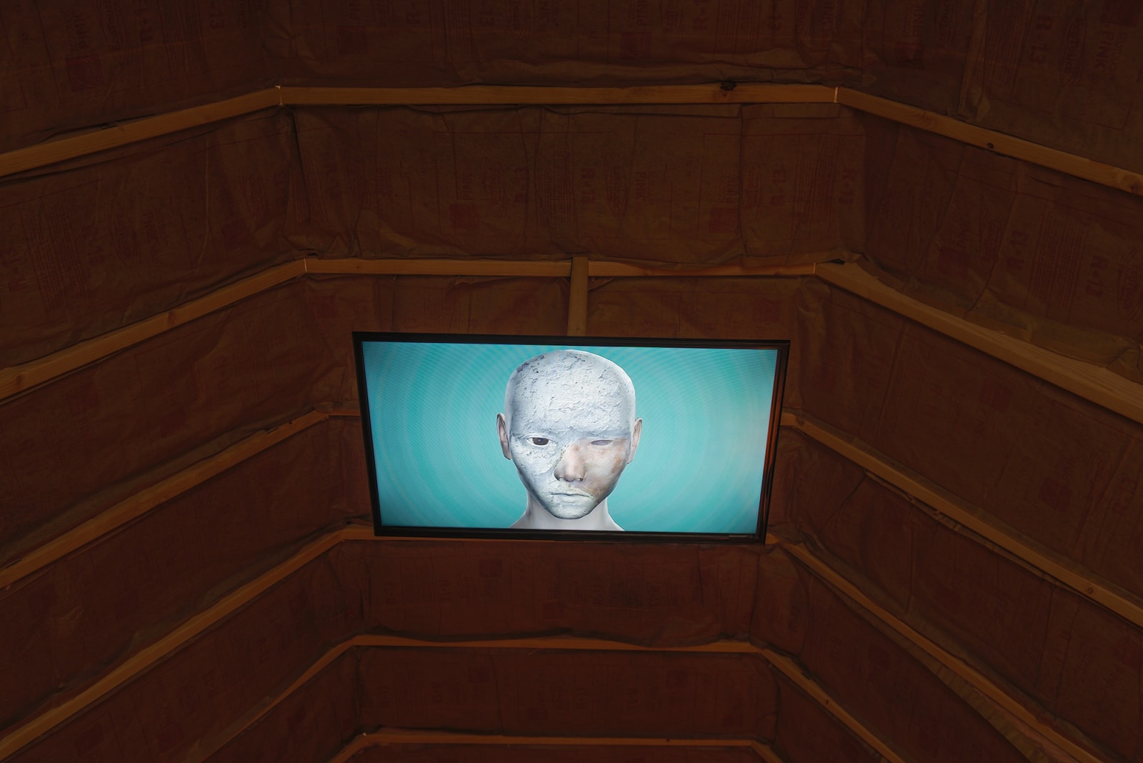 Installation View, marrow. Photo: Yubo Dong