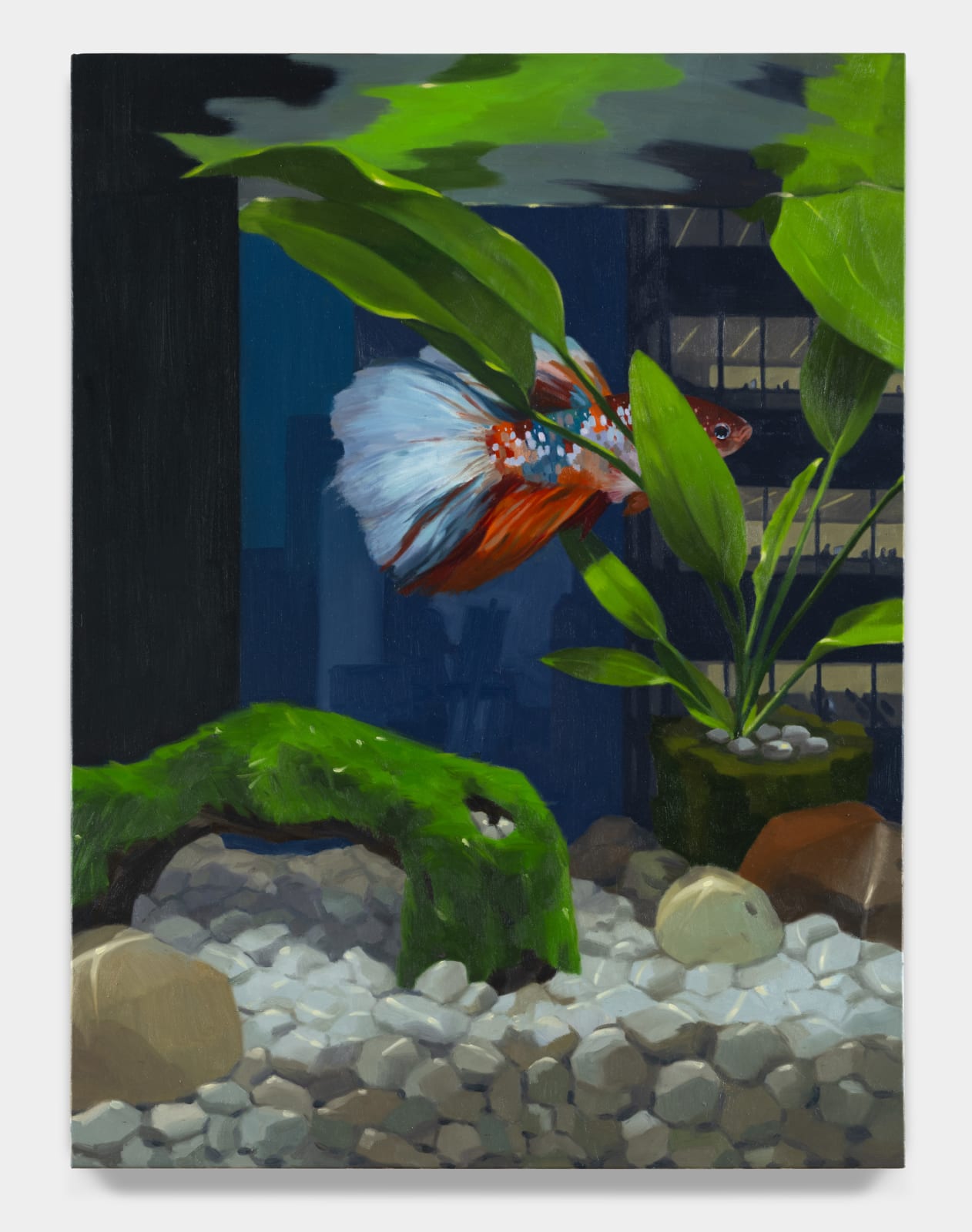 Yuri Yuan, Michael Doesn’t Like the Spotlight, 2024